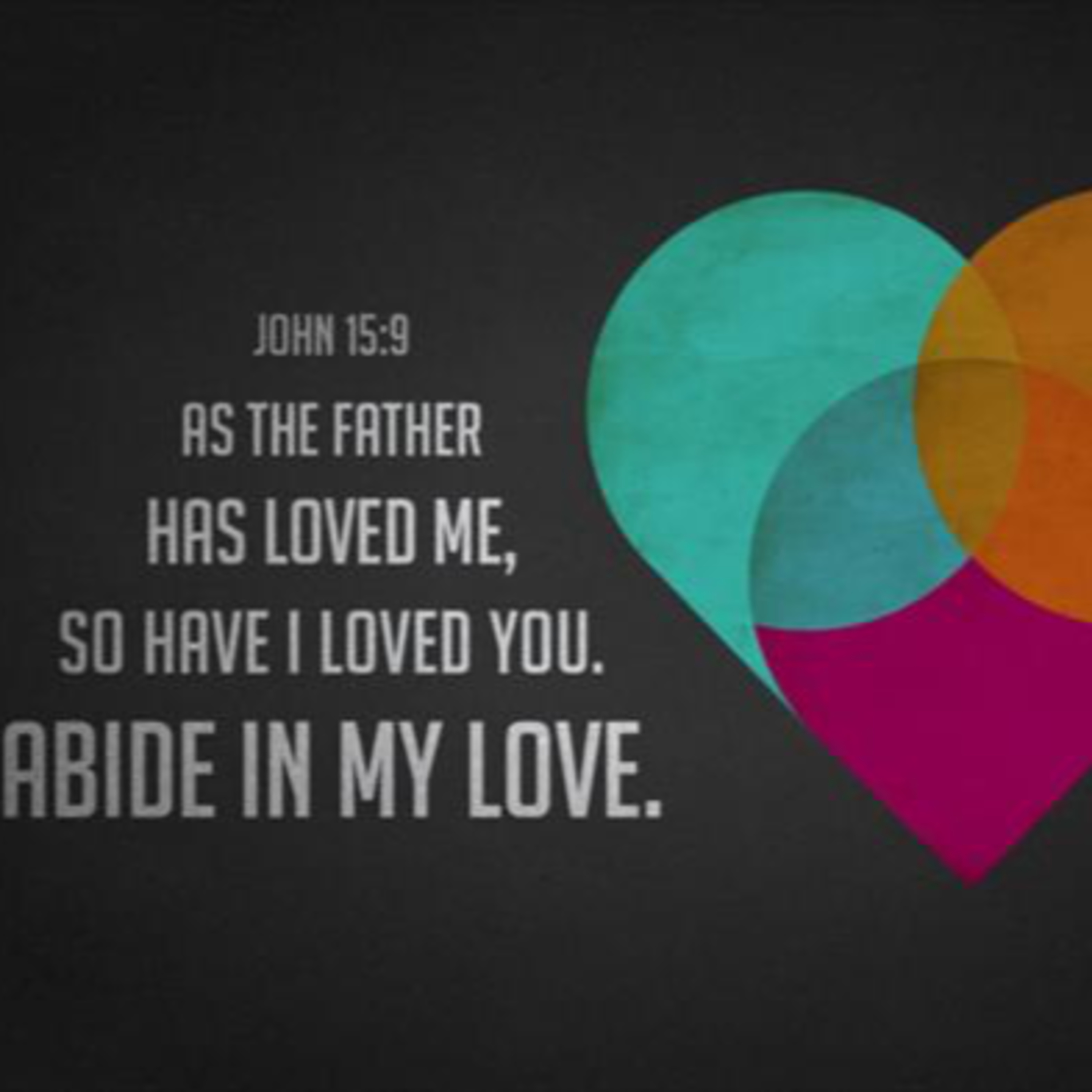 As the Father Loved Me, I also Have Loved You—John 15:9-17