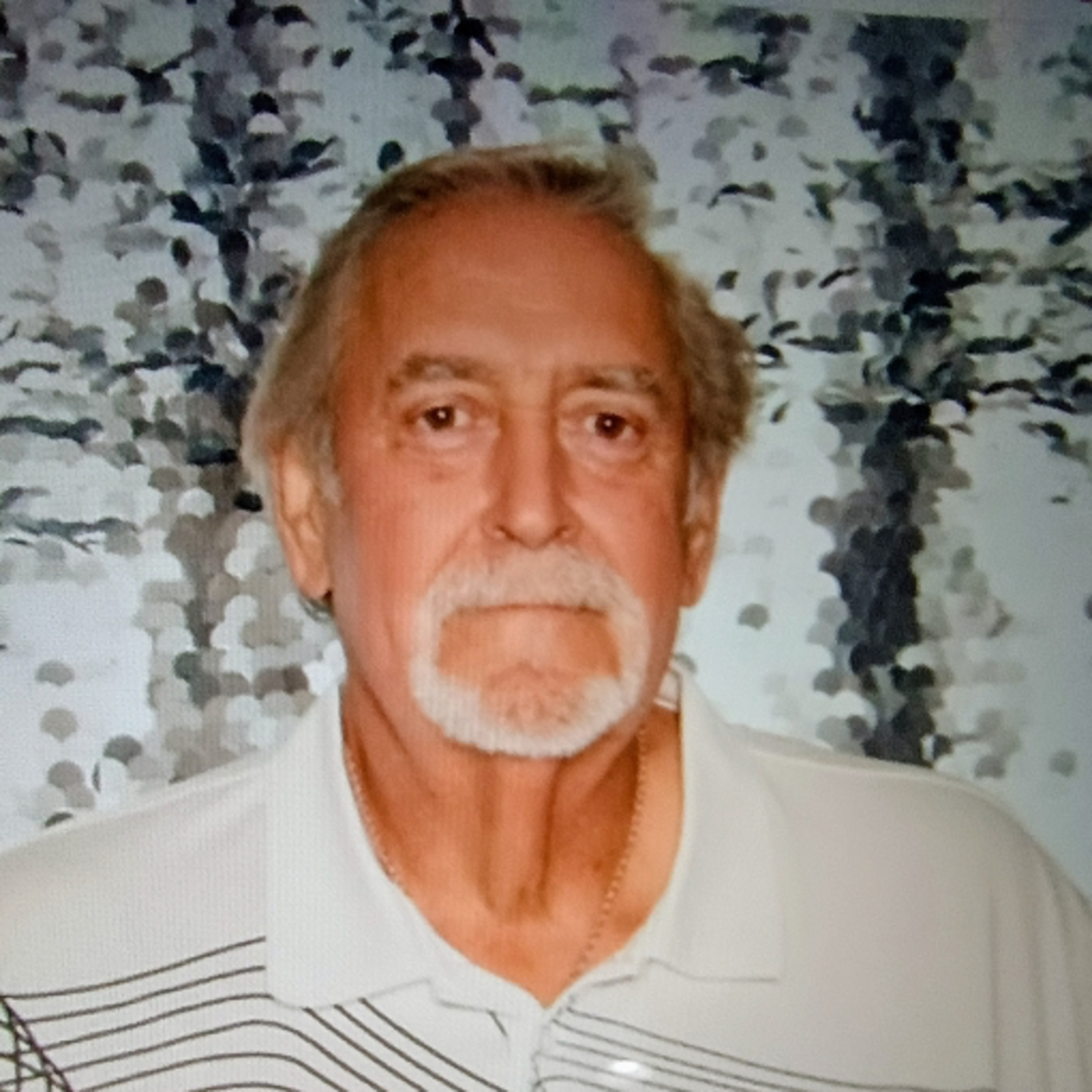 "Water. Word. That is the sign. It was always his" — Funeral of Donald Thiel
