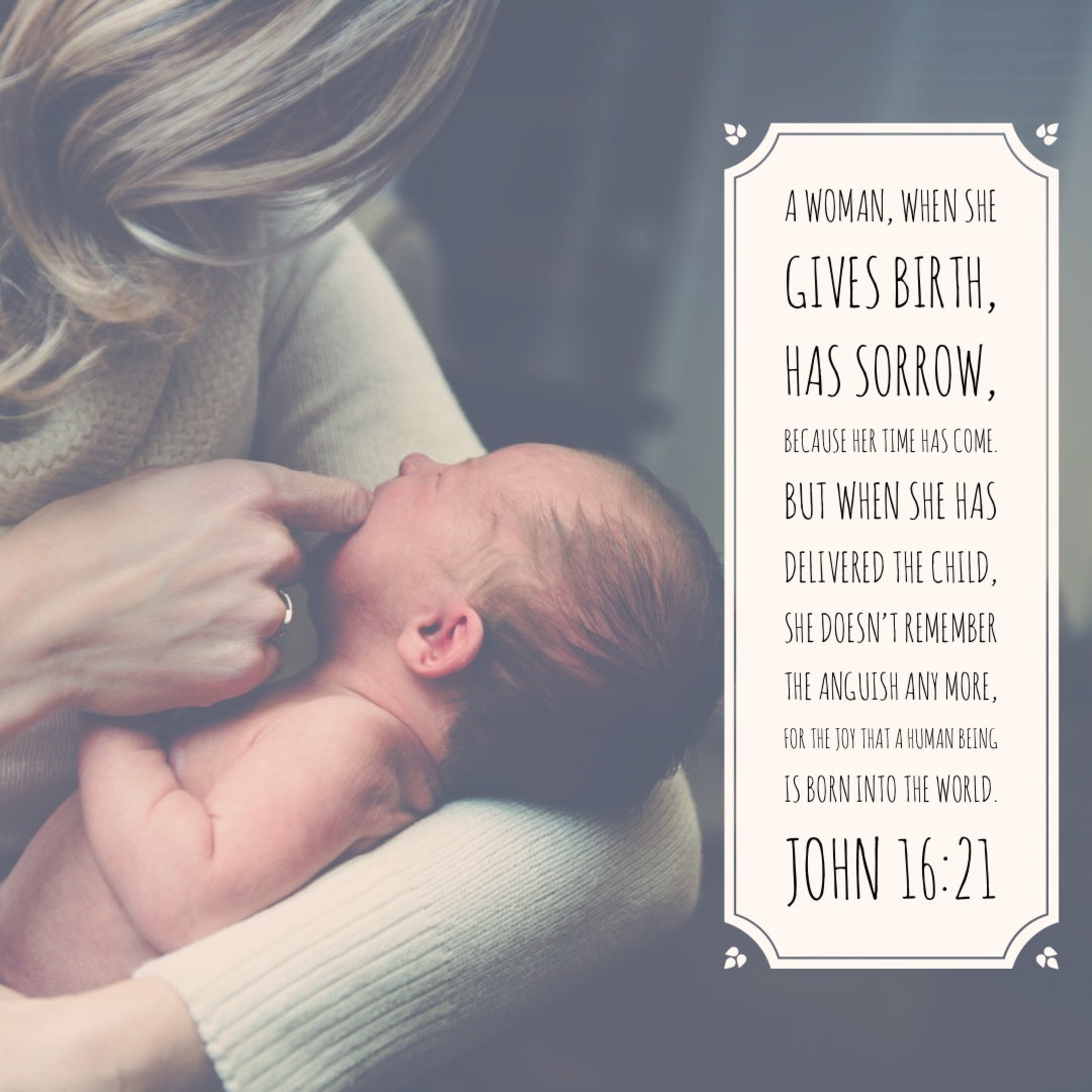 Your Sorrow Will Turn to Joy—John 16:16-23