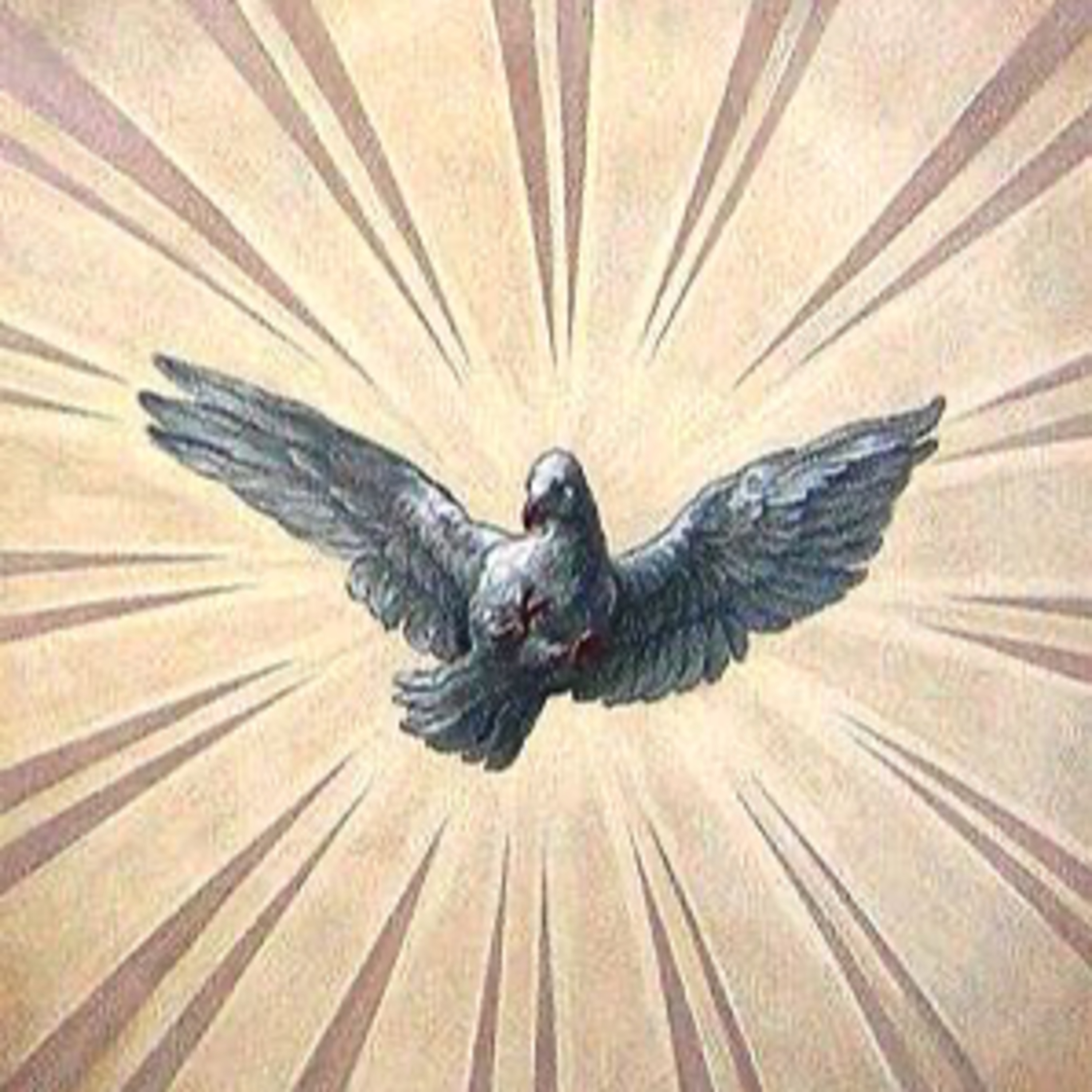 Pentecost Monday: Acts 10:34a, 42-48; John 3:16-21 episode artwork