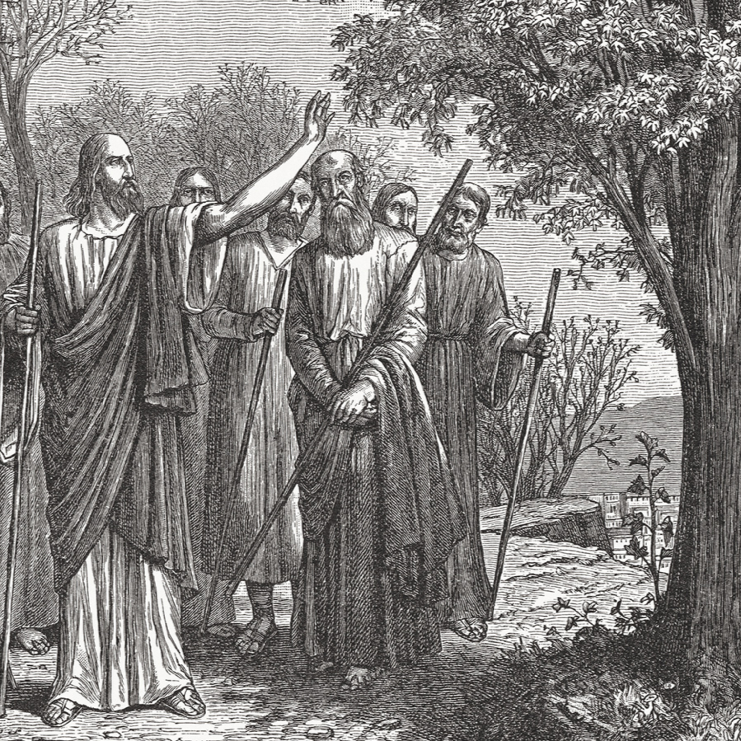 "Cursed on the tree so the barren tree could live." Friday of Trinity 3 (observed) 2026 episode artwork
