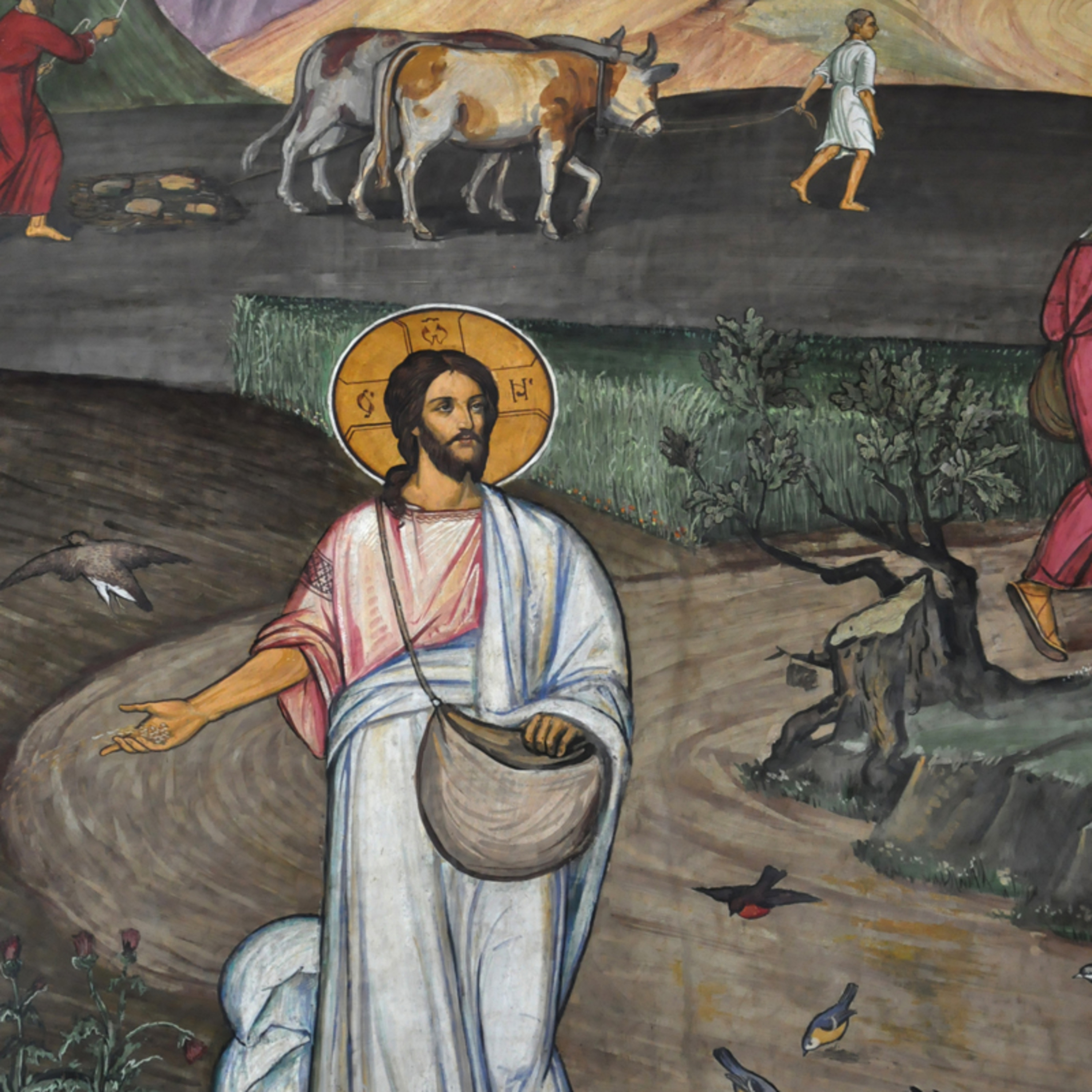 The Parable of the Sower and the Seed—Matt. 13:1-9 episode artwork