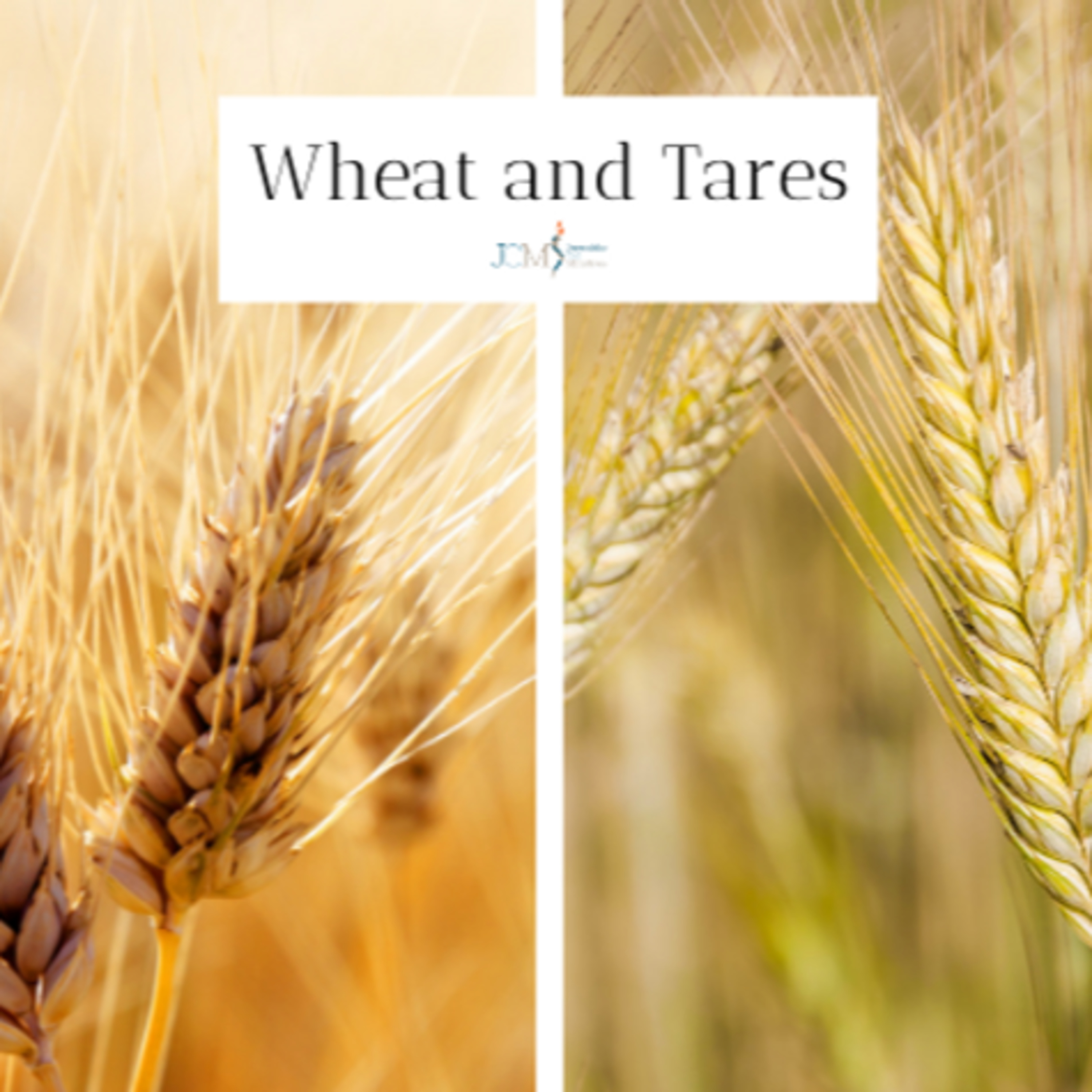 The Parable of the Wheat and the Tares—Matthew 13:24-35 episode artwork