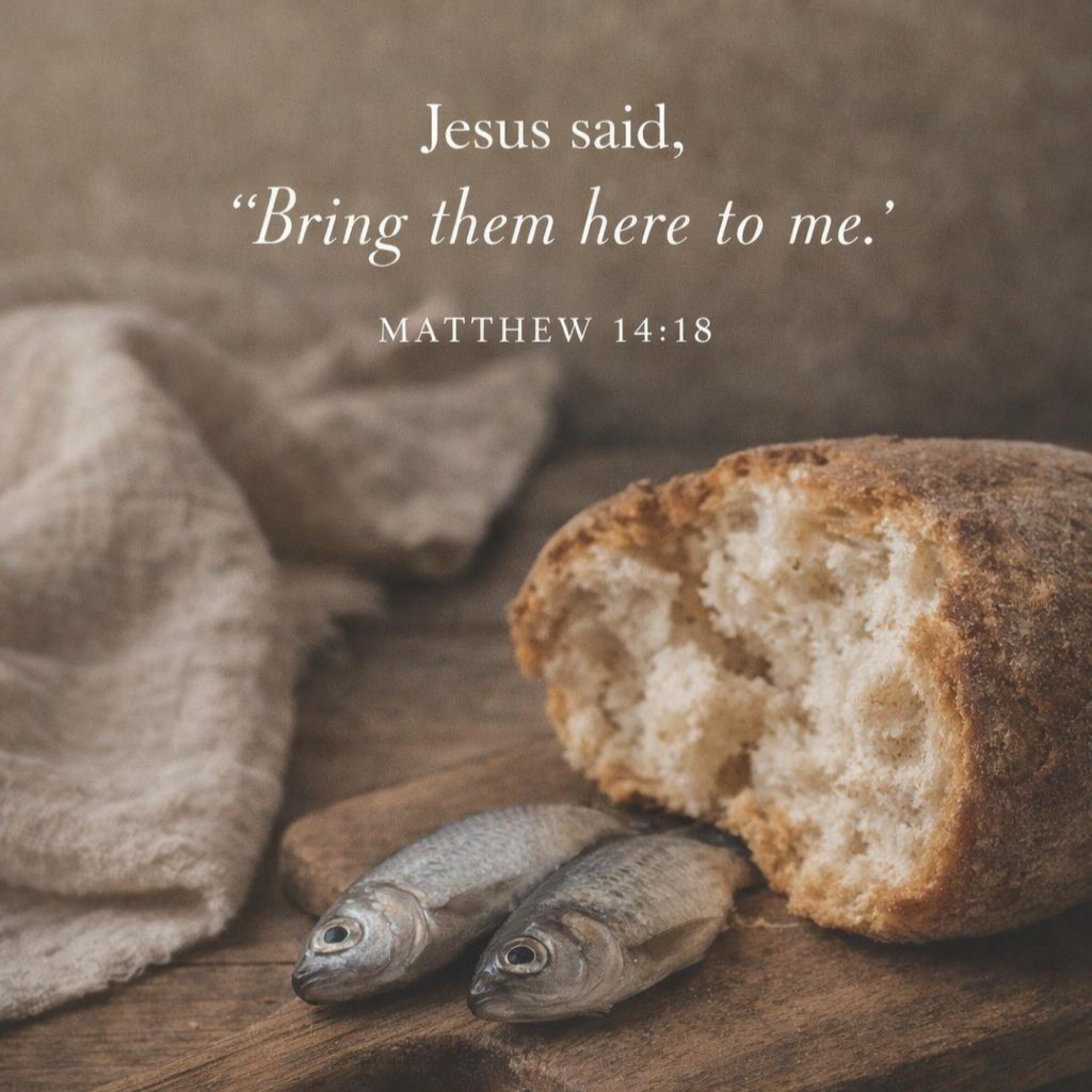 The Feeding of the 5,000—Matthew 14:14-21 episode artwork