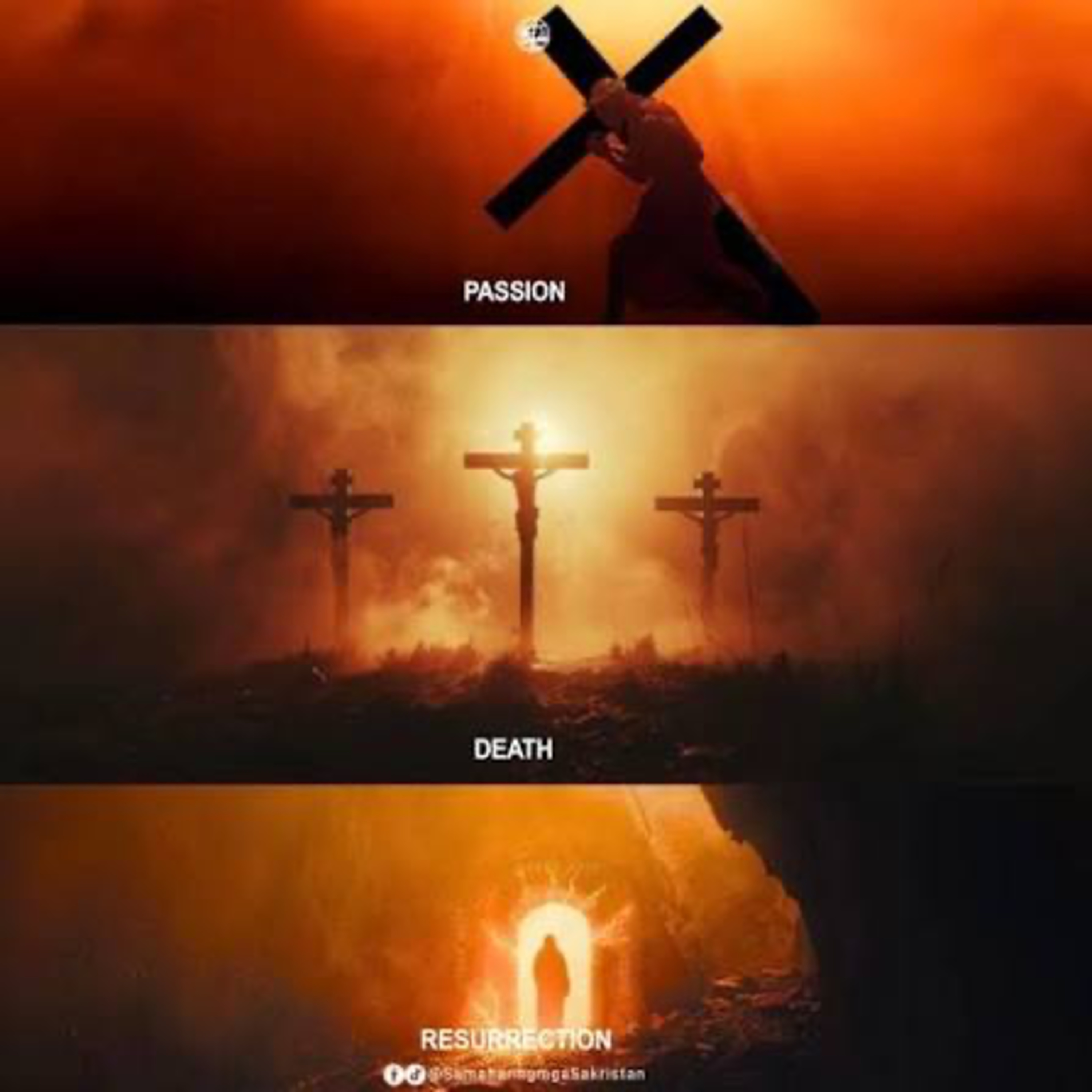 Jesus Predicts His Death and Resurrection—Matt. 17:22-27 episode artwork