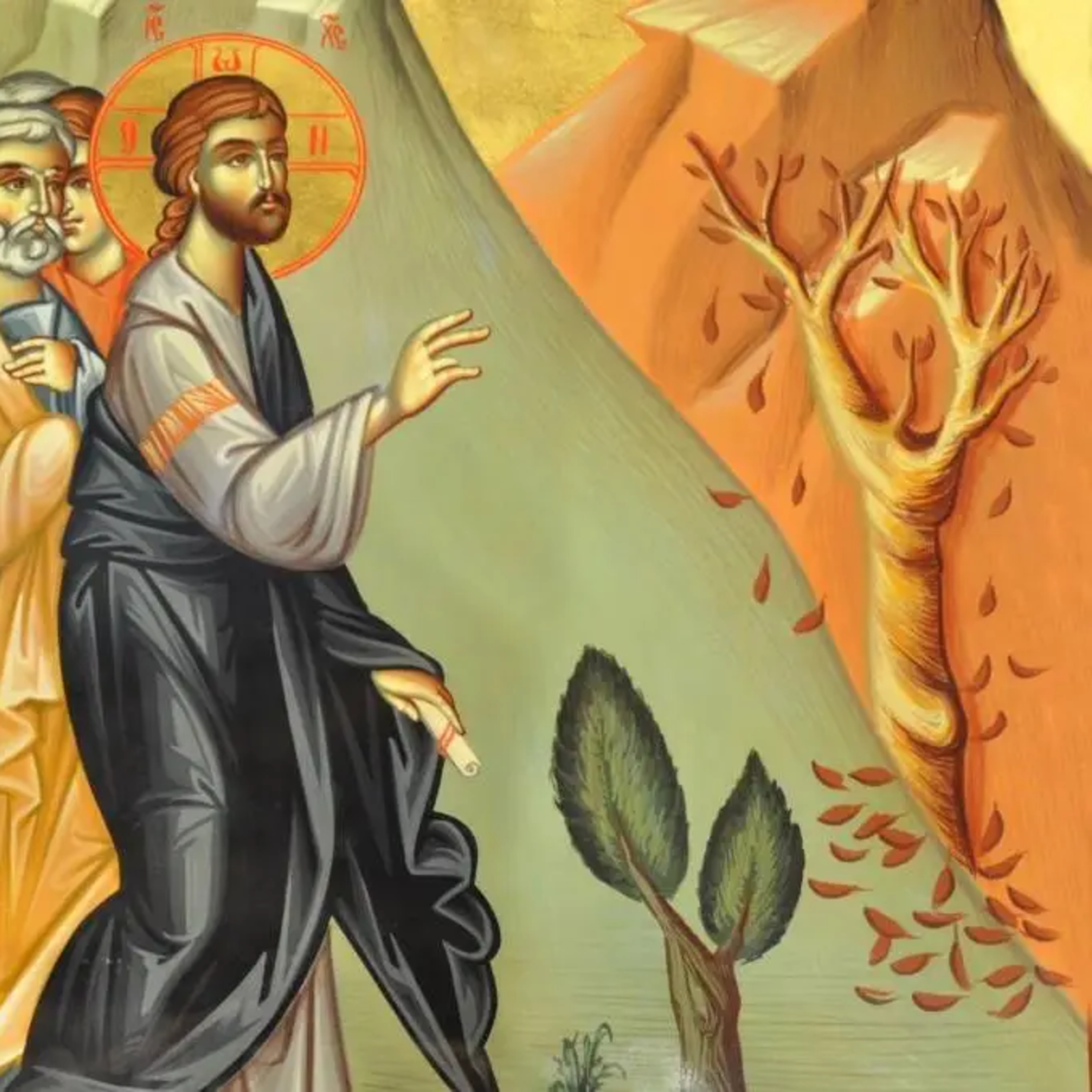 The Fruitless Fig Tree—Matthew 21:18-27 episode artwork