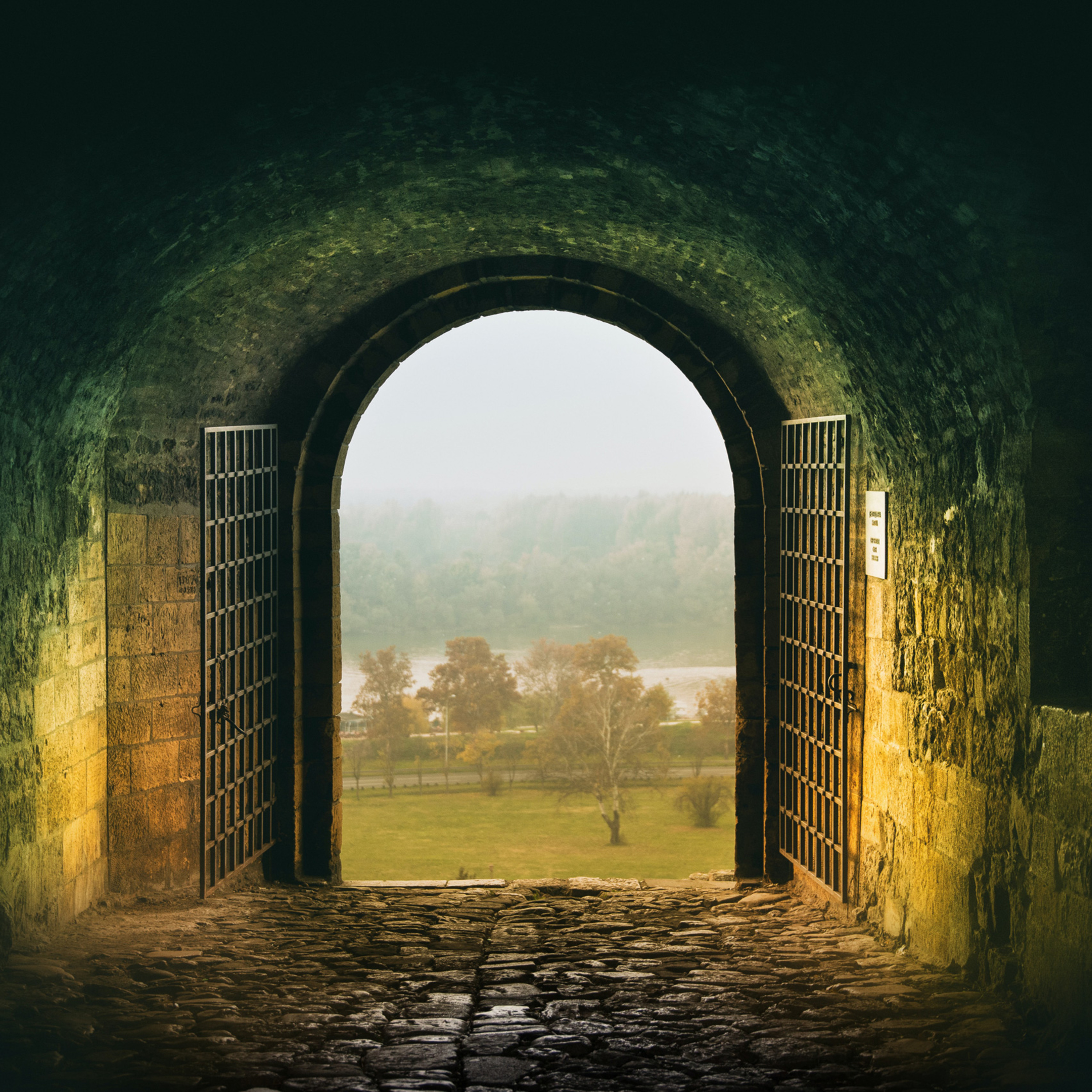 "Strive to Enter but Only through Christ" Friday of Trinity 13 (observed) 2026 episode artwork