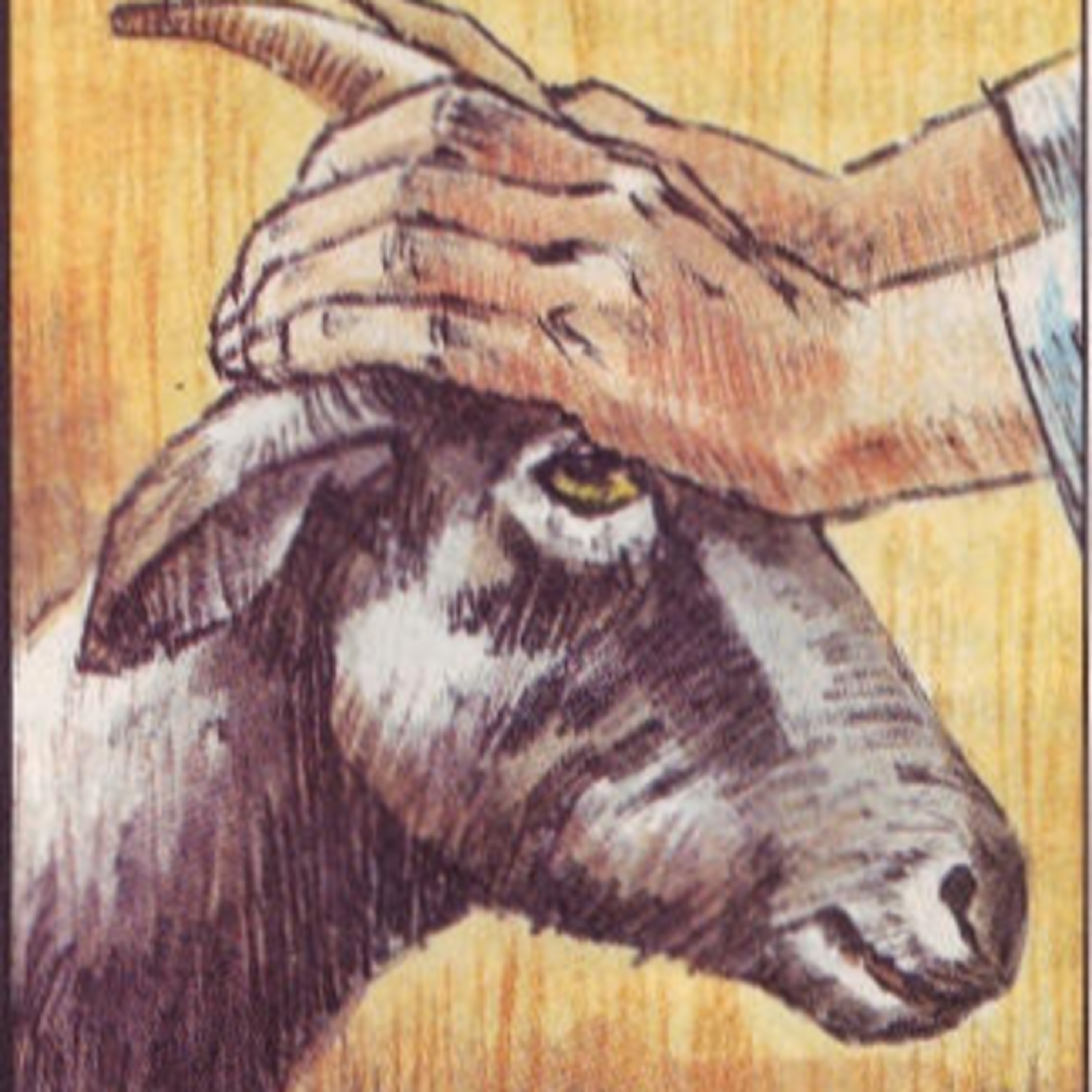 The Sin Offering—Leviticus (4:1-2) 5:1-10 (11-13) episode artwork