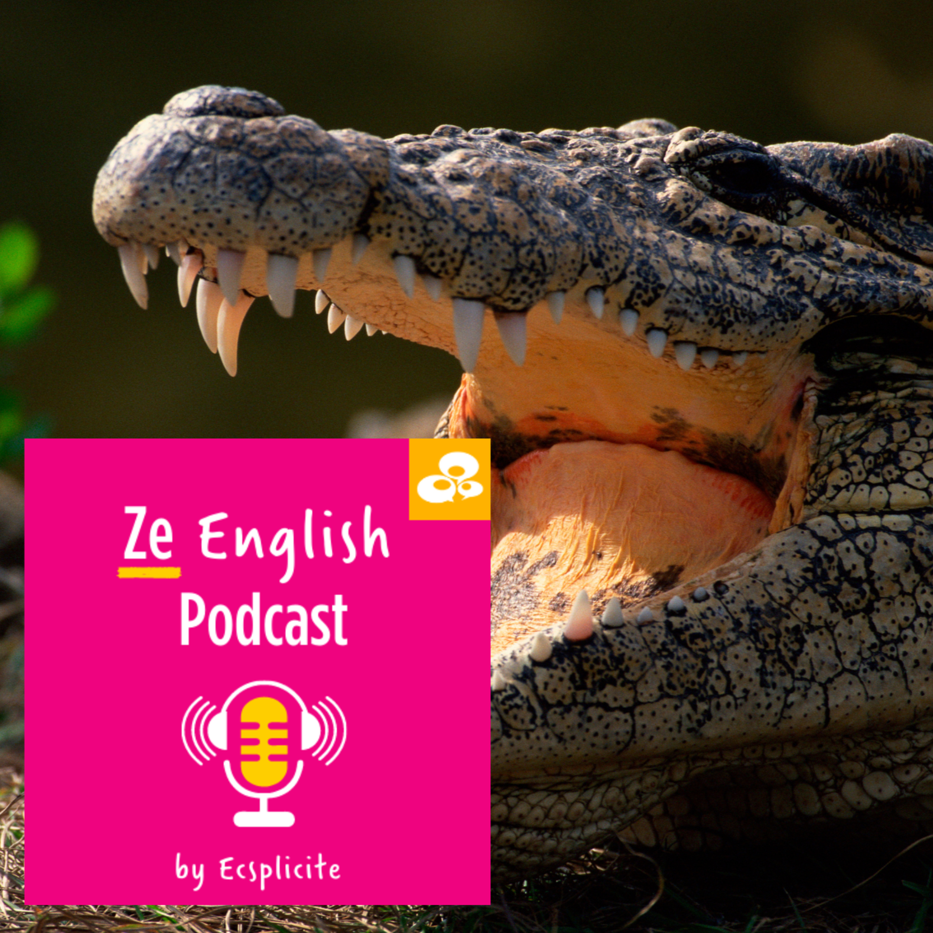 Ze English Podcast by Ecsplicite
