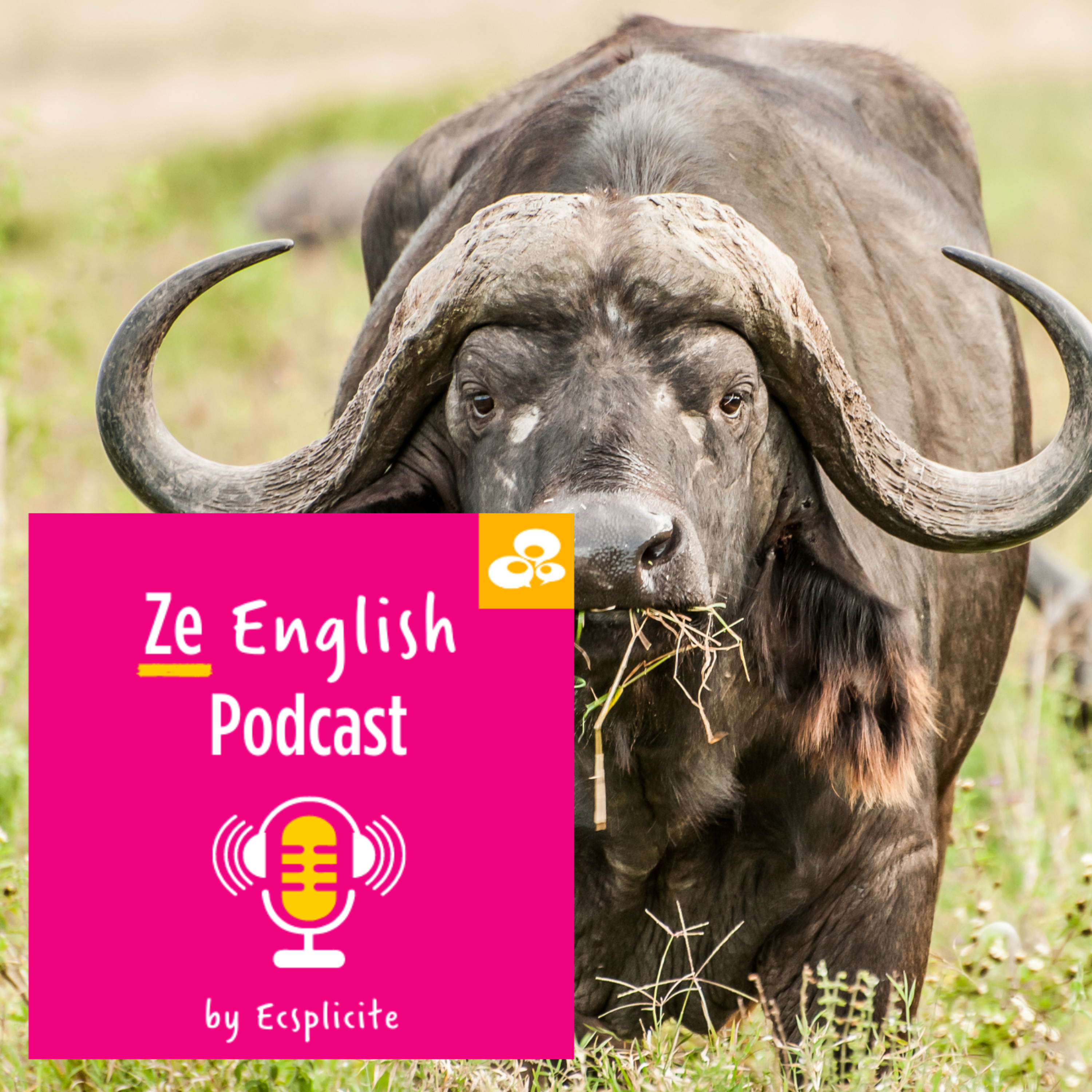 Ze English Podcast by Ecsplicite