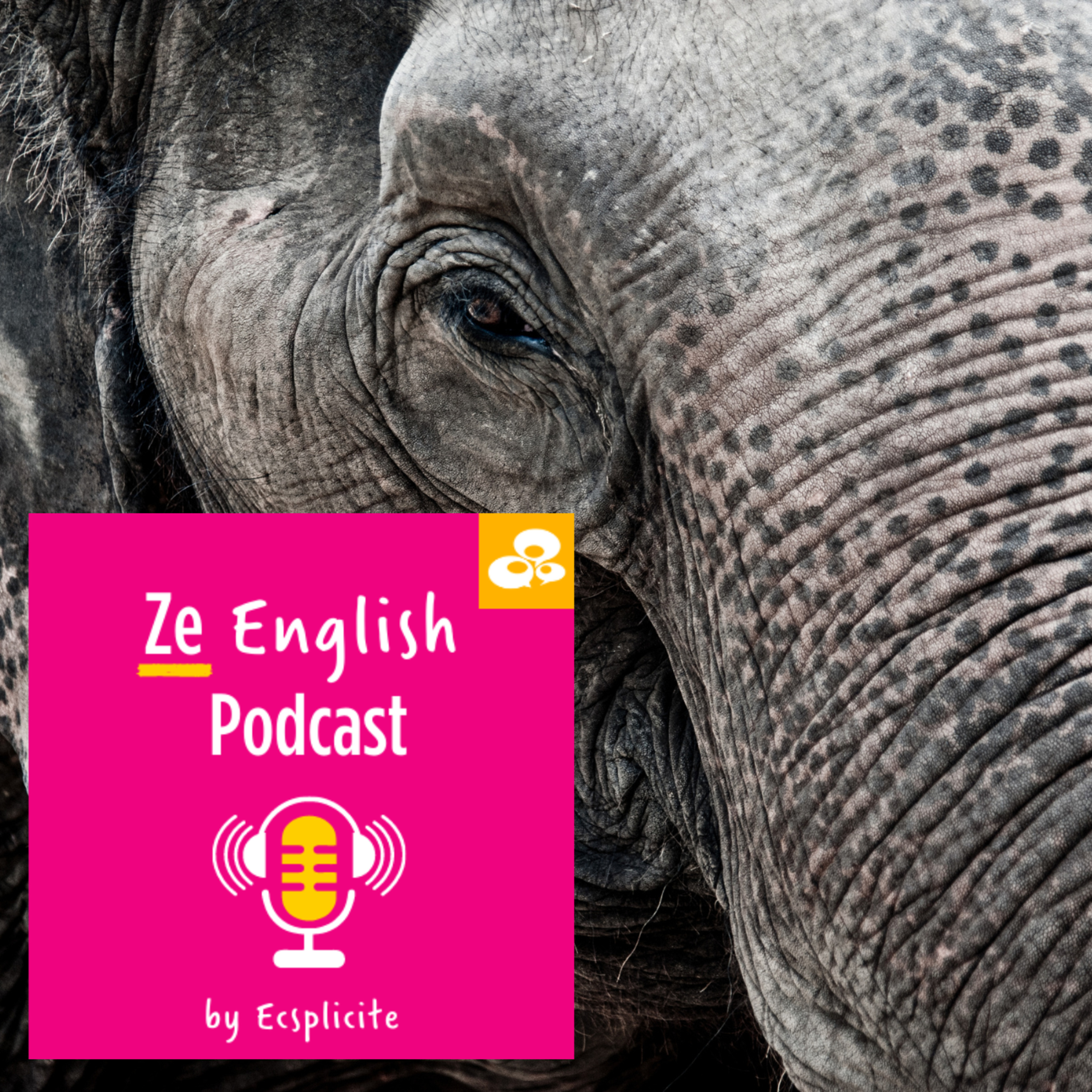 Ze English Podcast by Ecsplicite