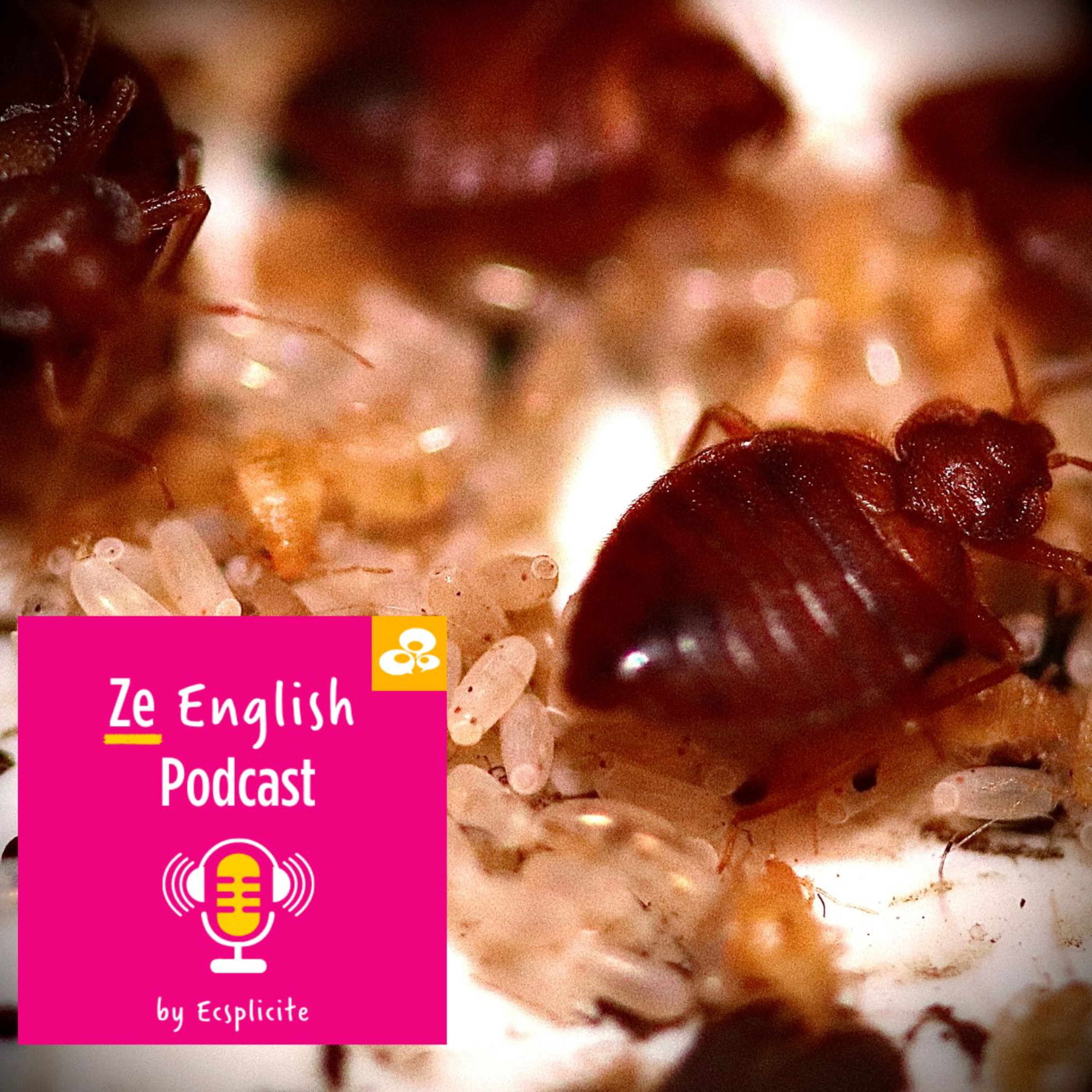 Ze English Podcast by Ecsplicite