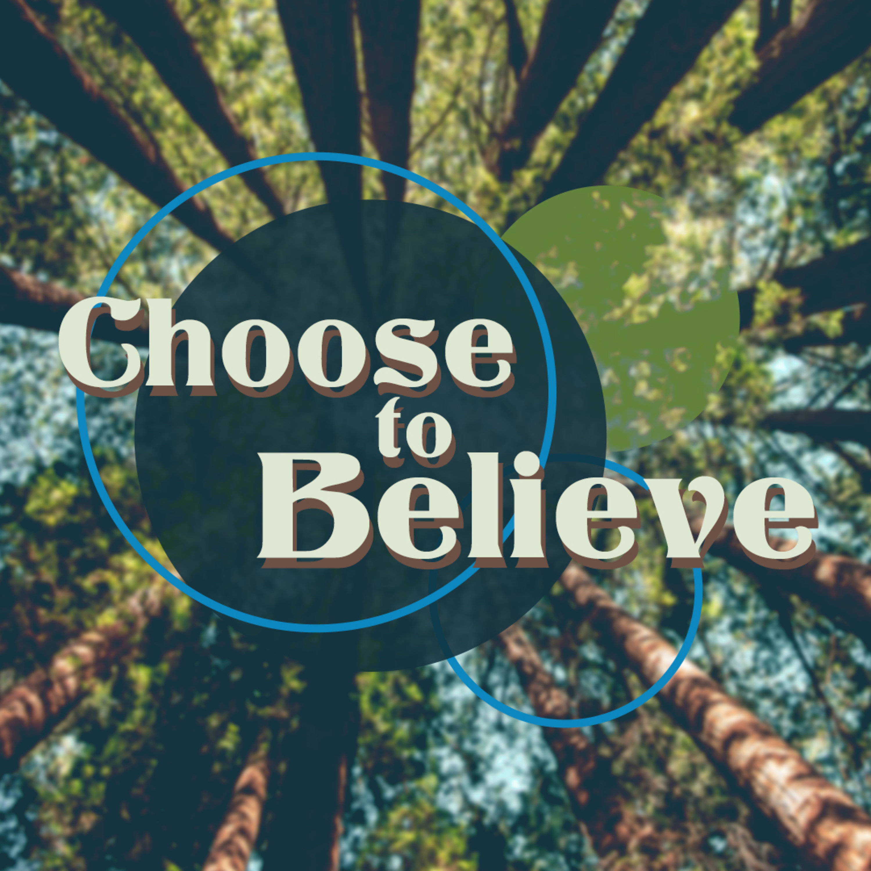 Choose to Believe episode artwork