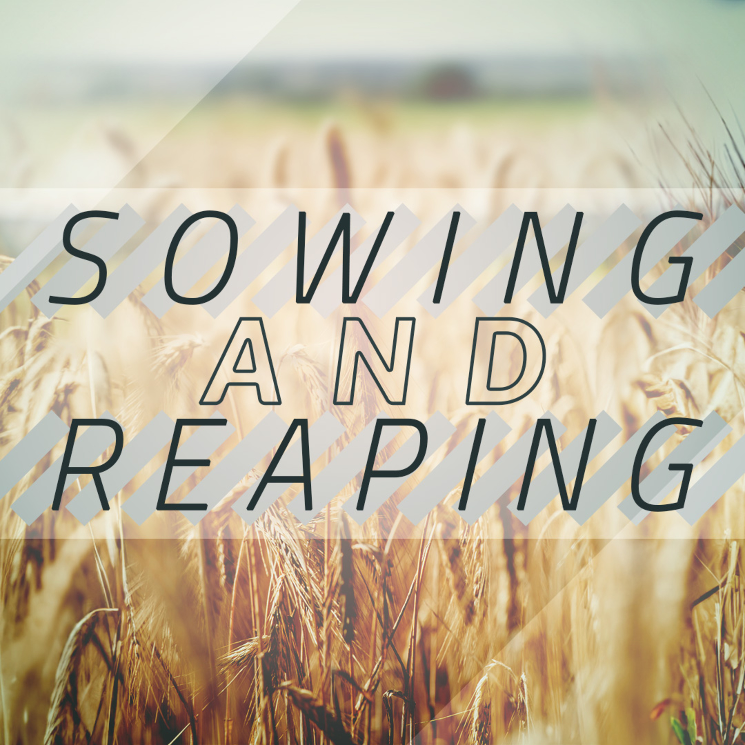 Sowing And Reaping episode artwork