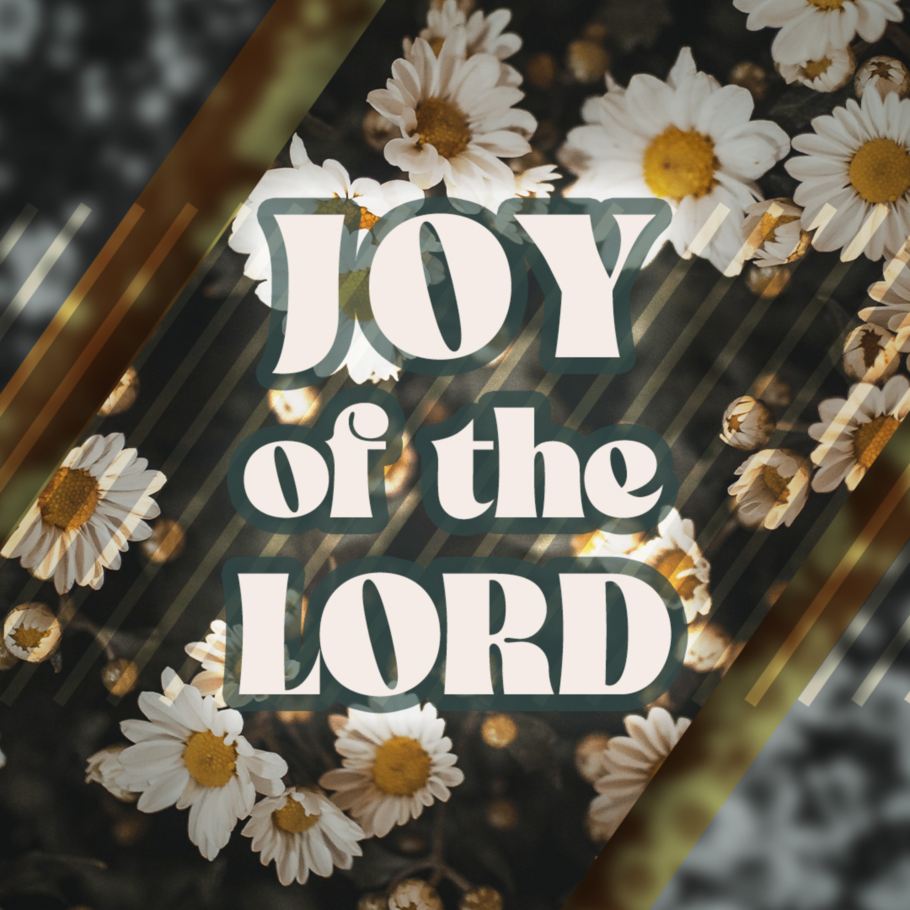 Joy Of The Lord episode artwork