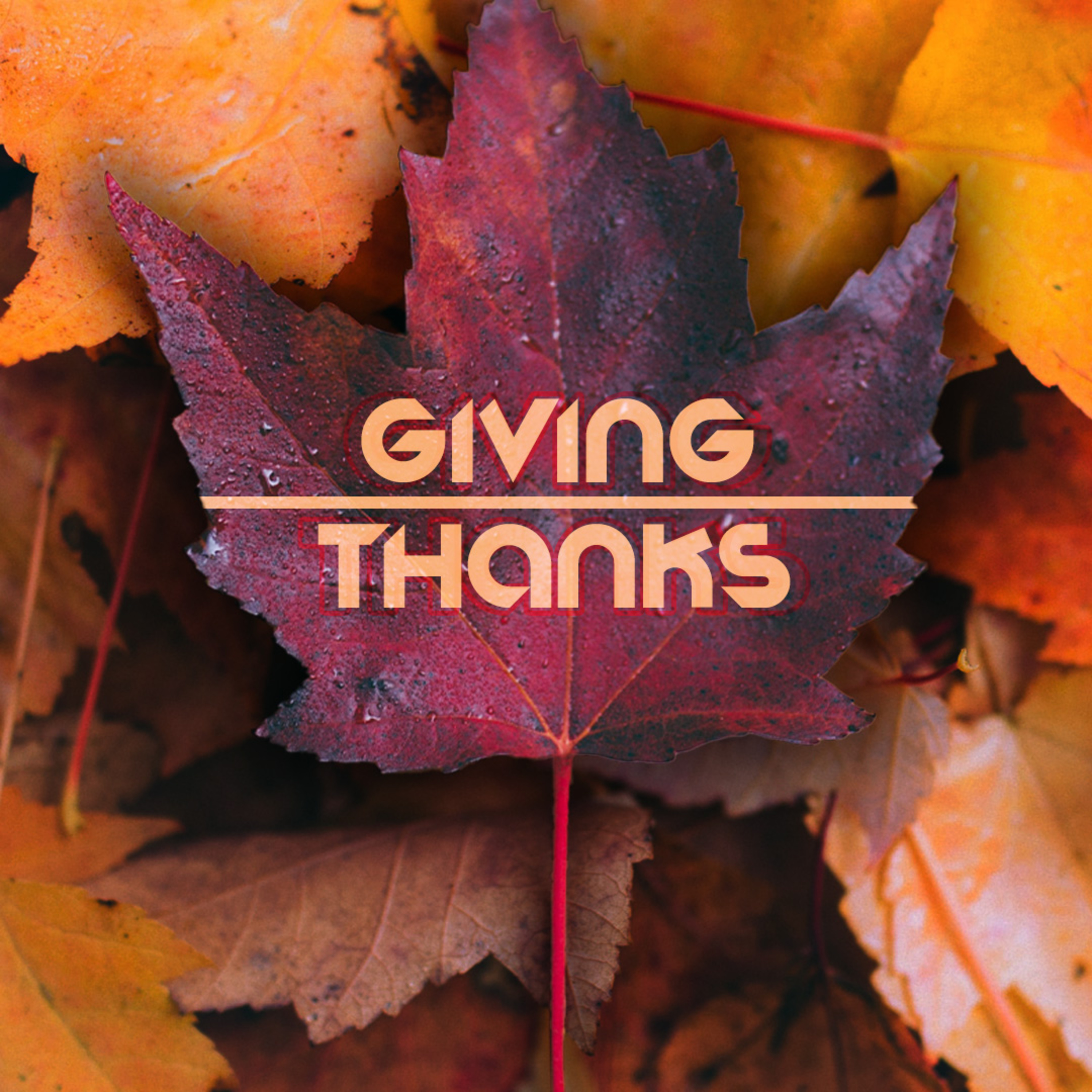 Giving Thanks episode artwork