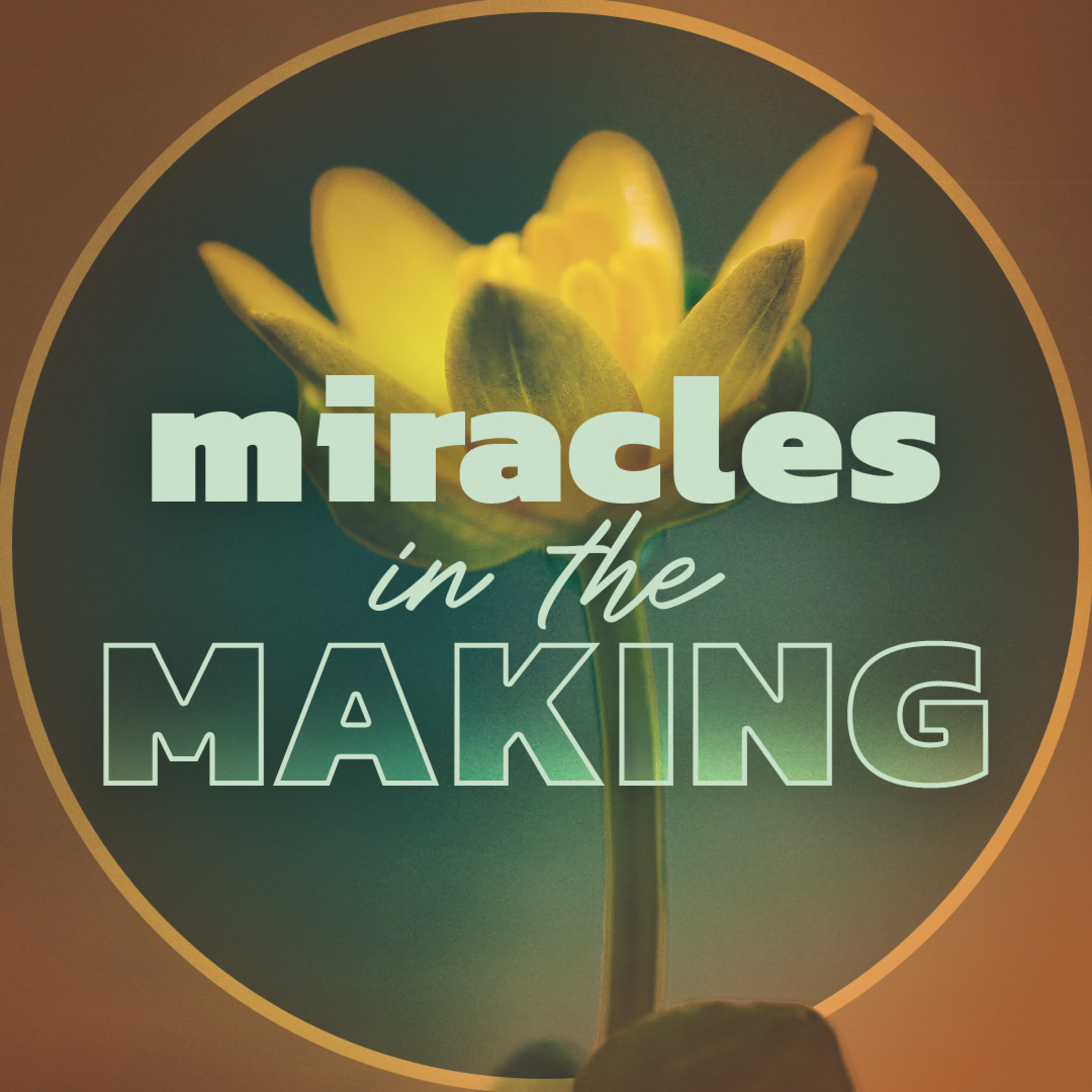Miracles In The Making episode artwork