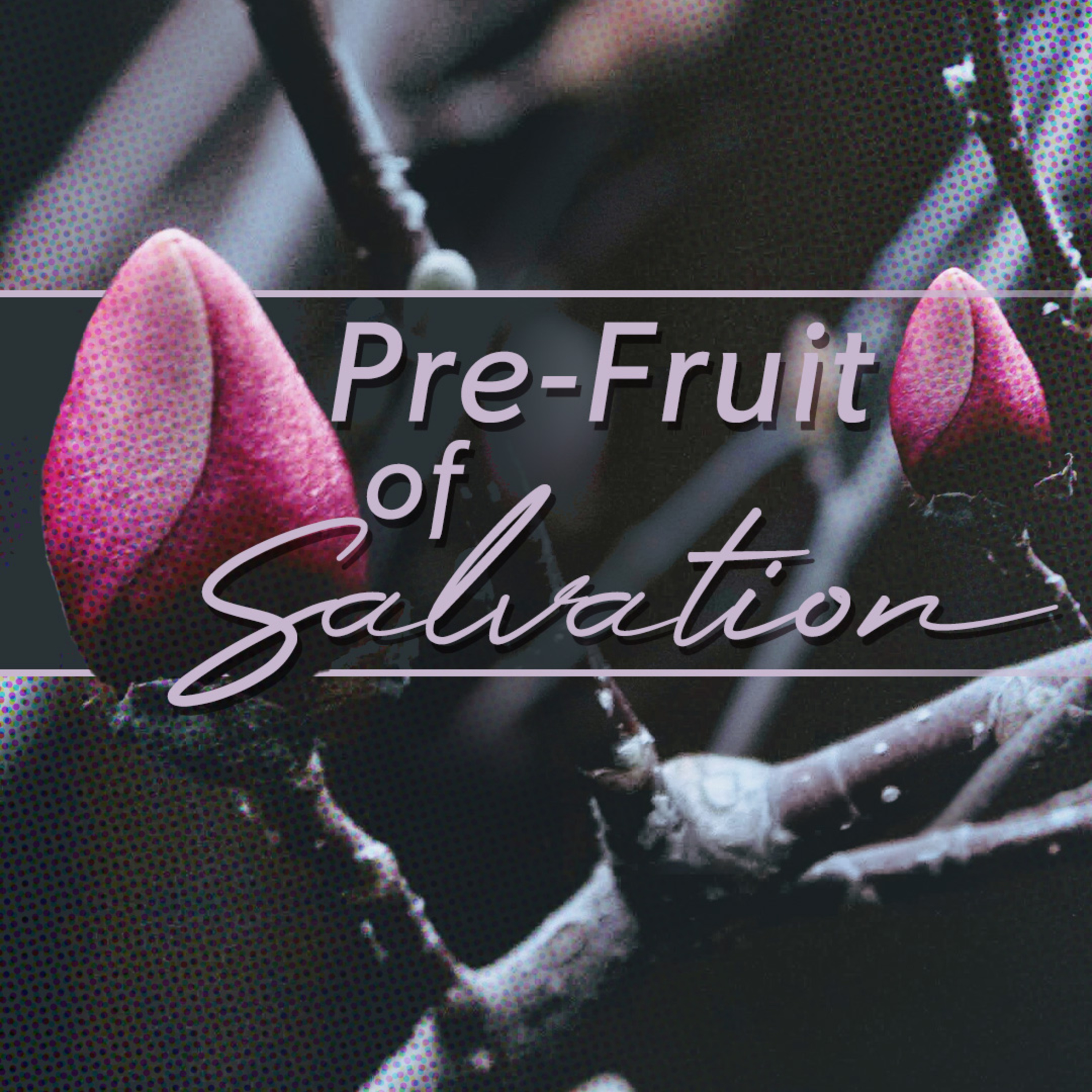 Pre-Fruit Of Salvation episode artwork