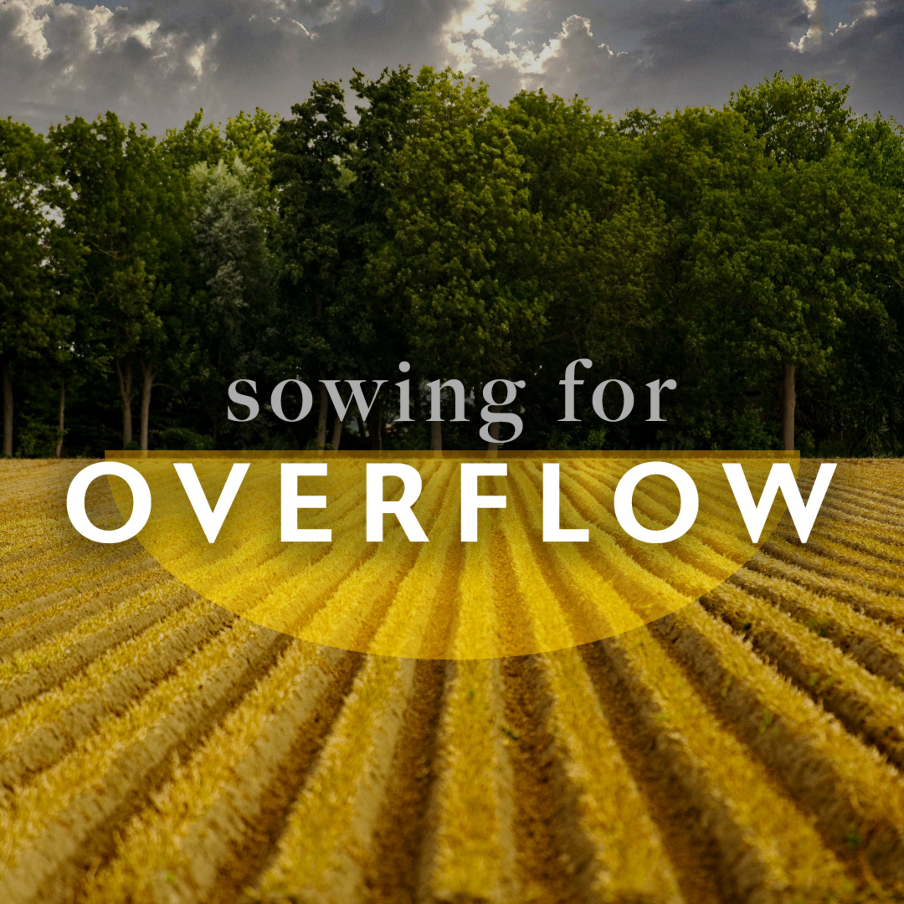 Sowing For Overflow episode artwork