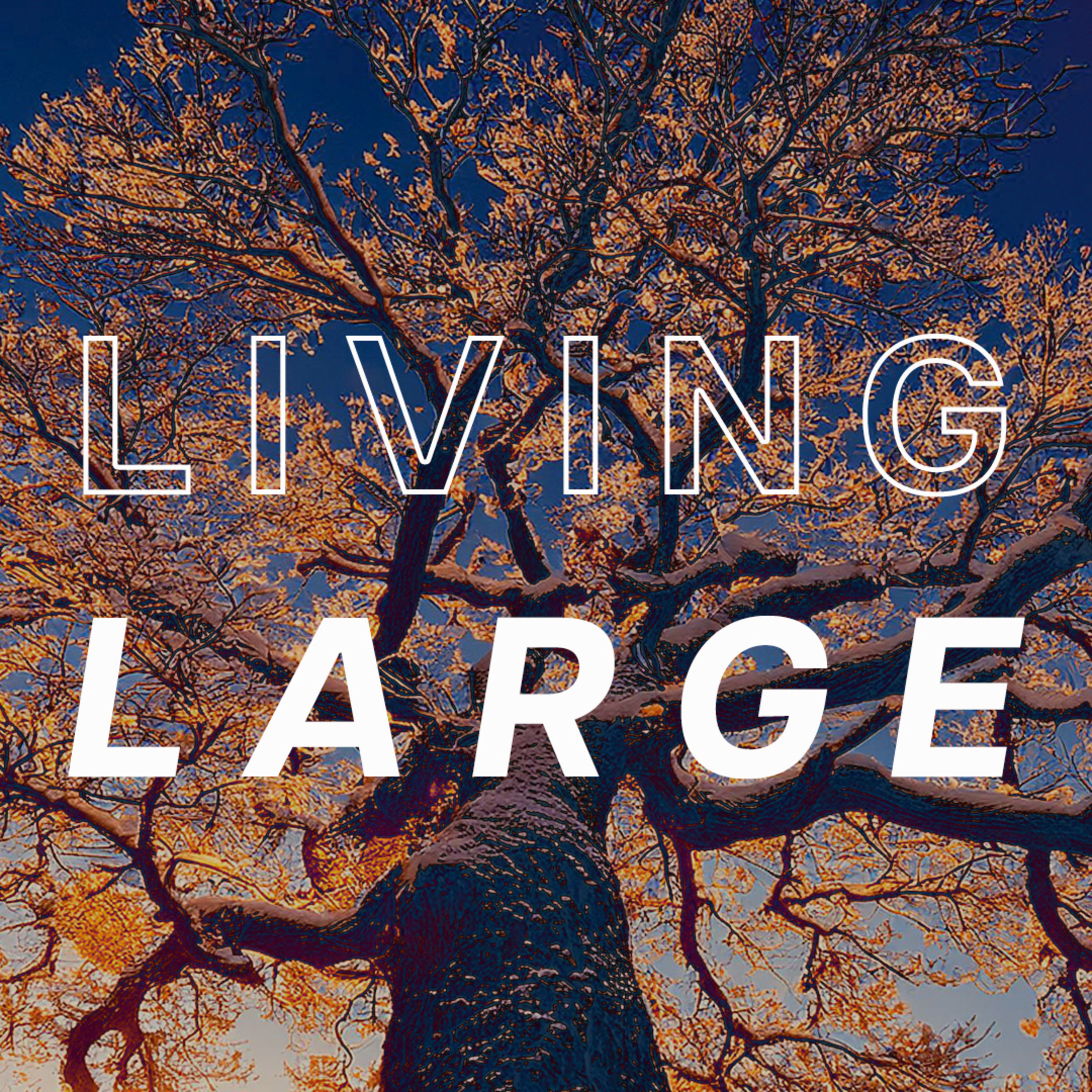 Living Large episode artwork