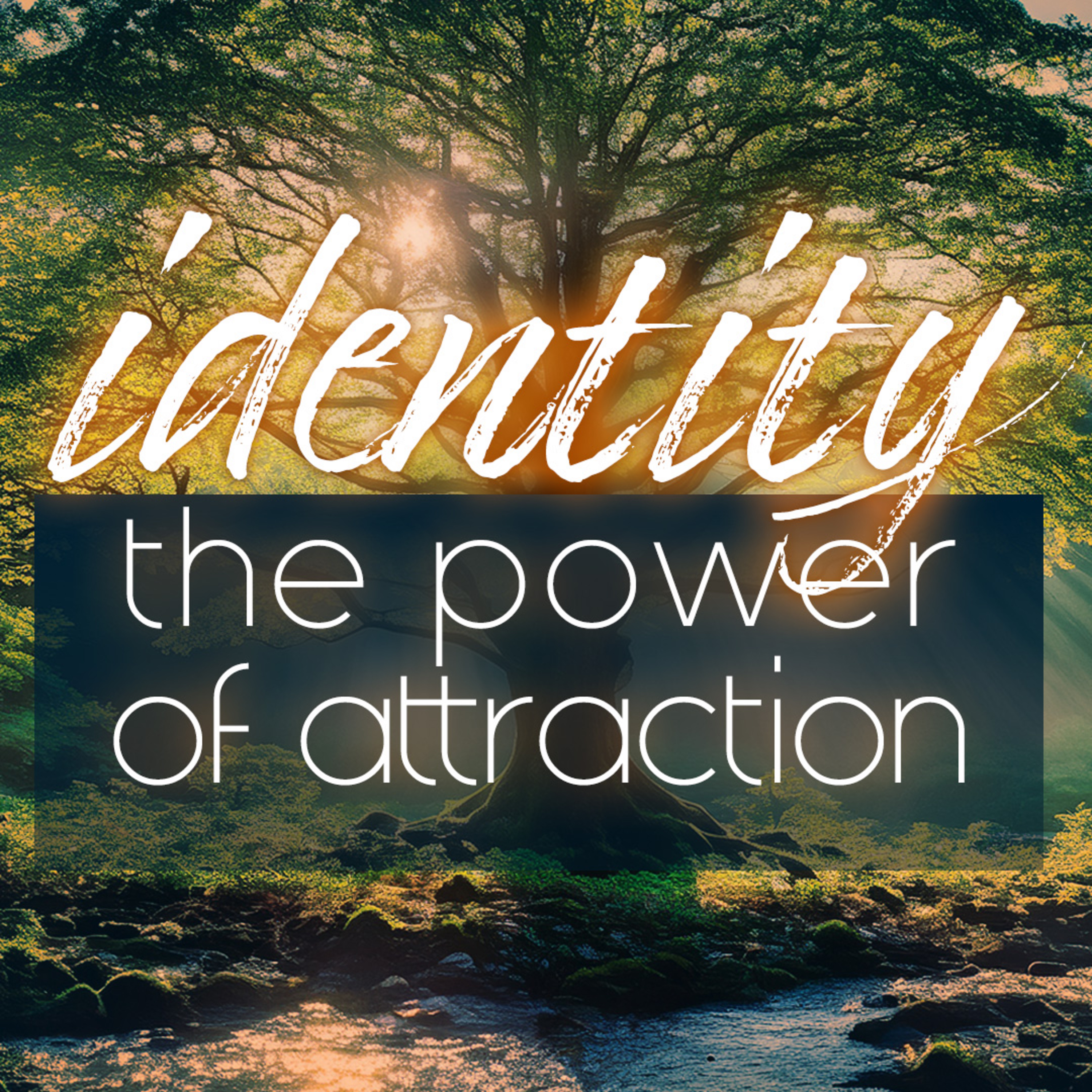 Identity - The Power Of Attraction episode artwork