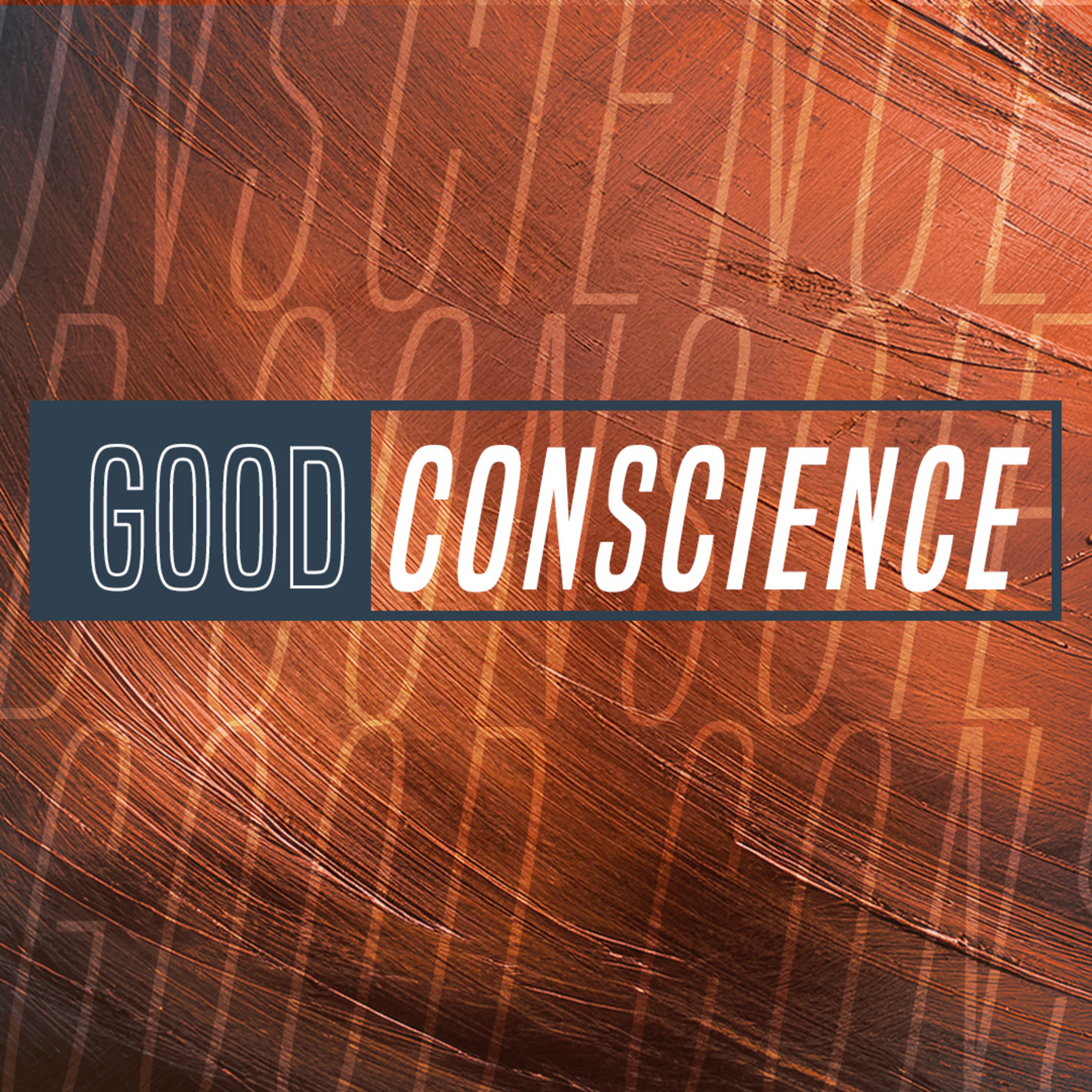 Good Conscience episode artwork
