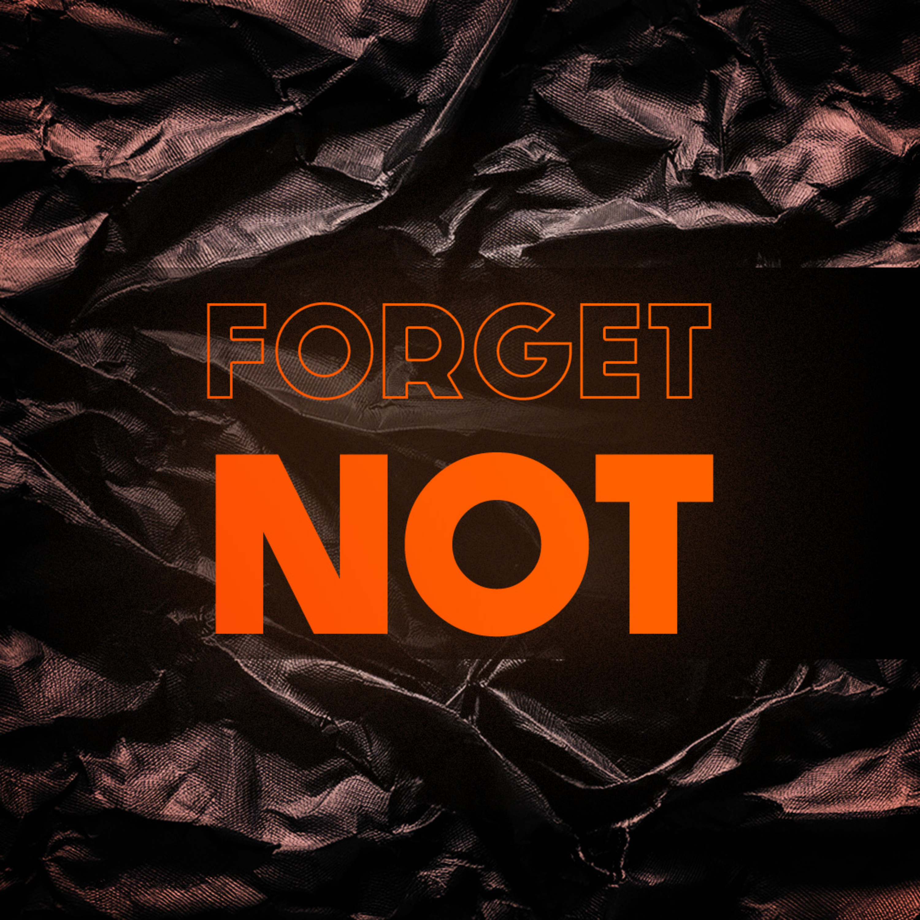 Forget Not episode artwork