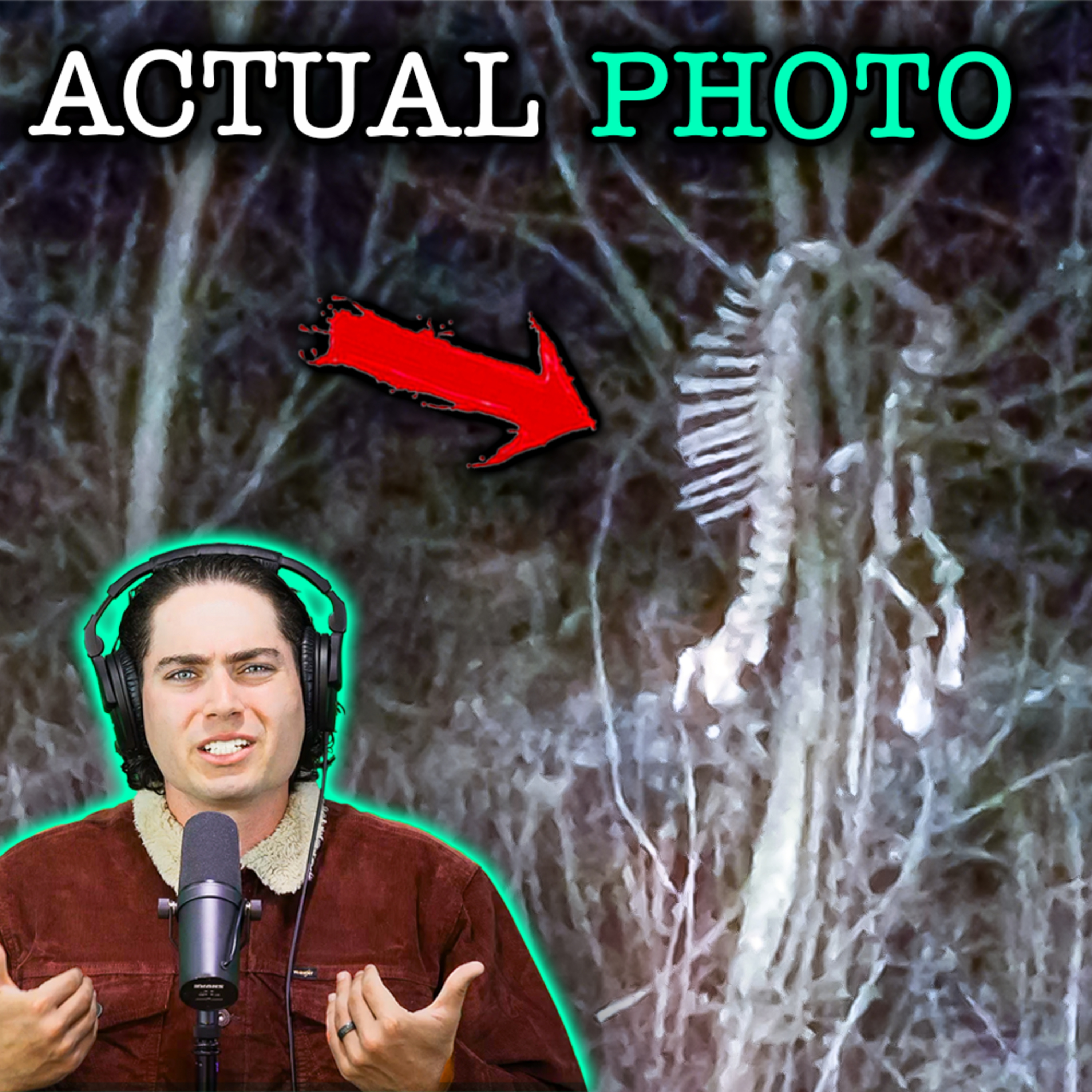 Something STRANGE is Hiding in Oregon’s Deep Woods.. (*DISTURBING STORY*)