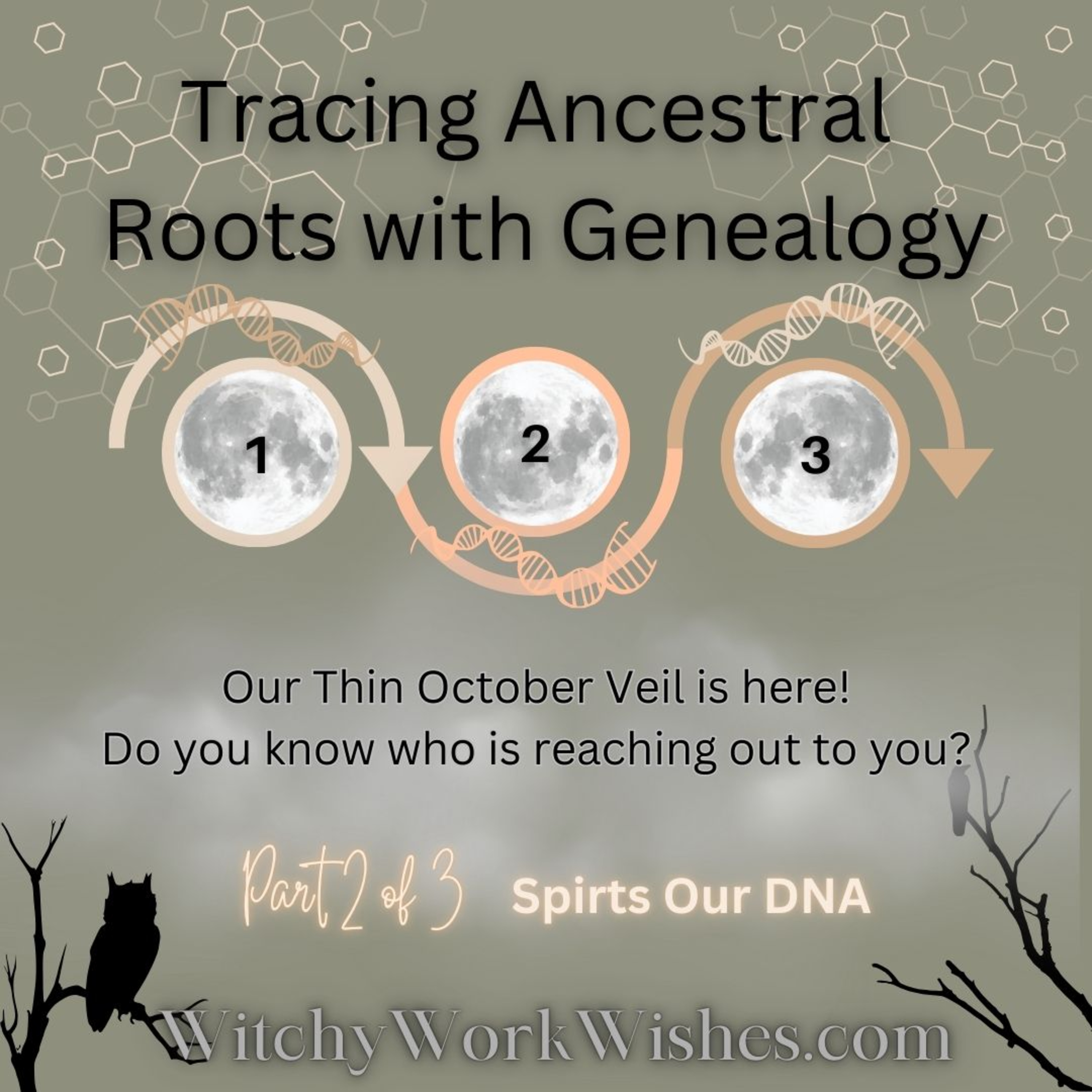Tracing Ancestral Roots with Genealogy Pt 2