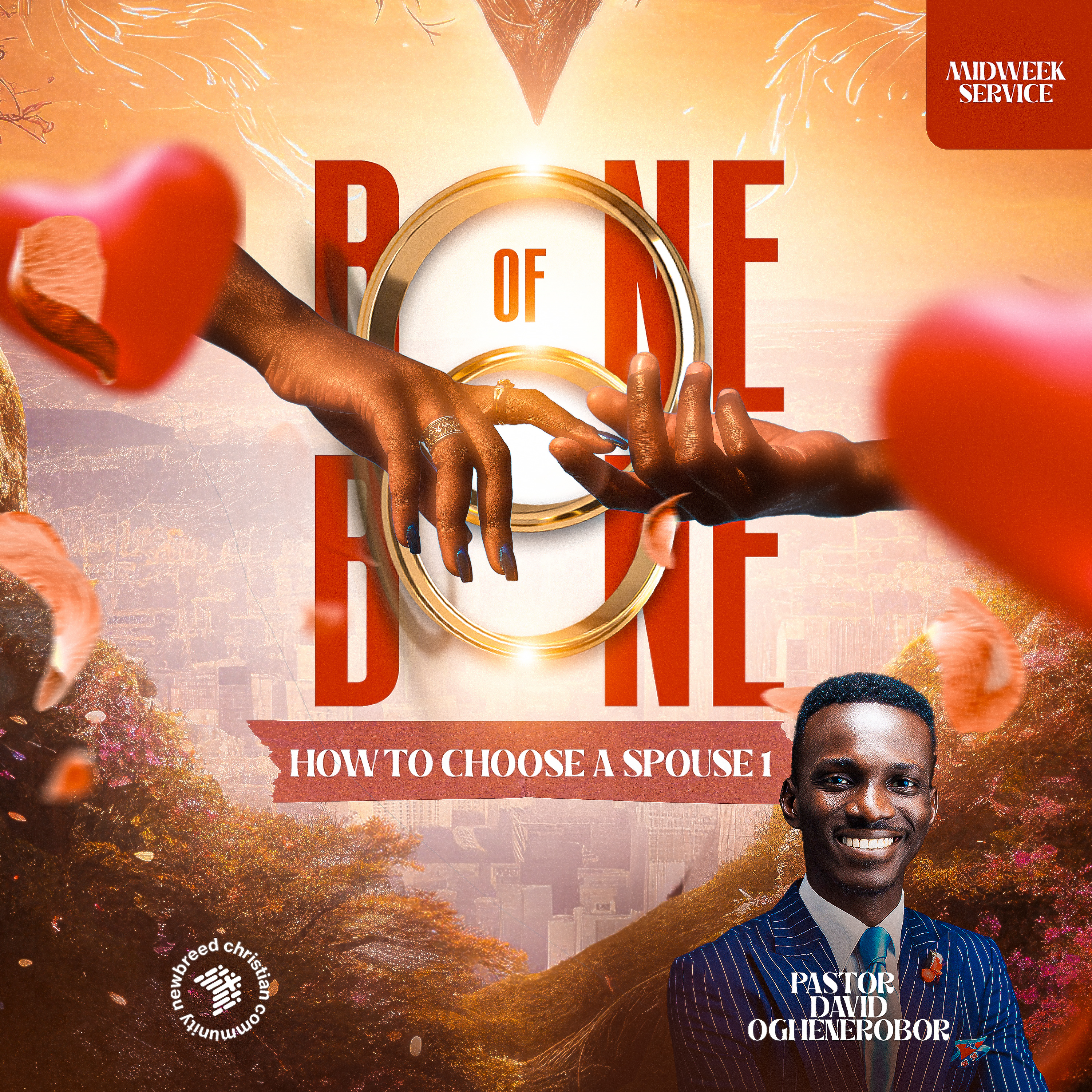 Bone Of Bone episode artwork