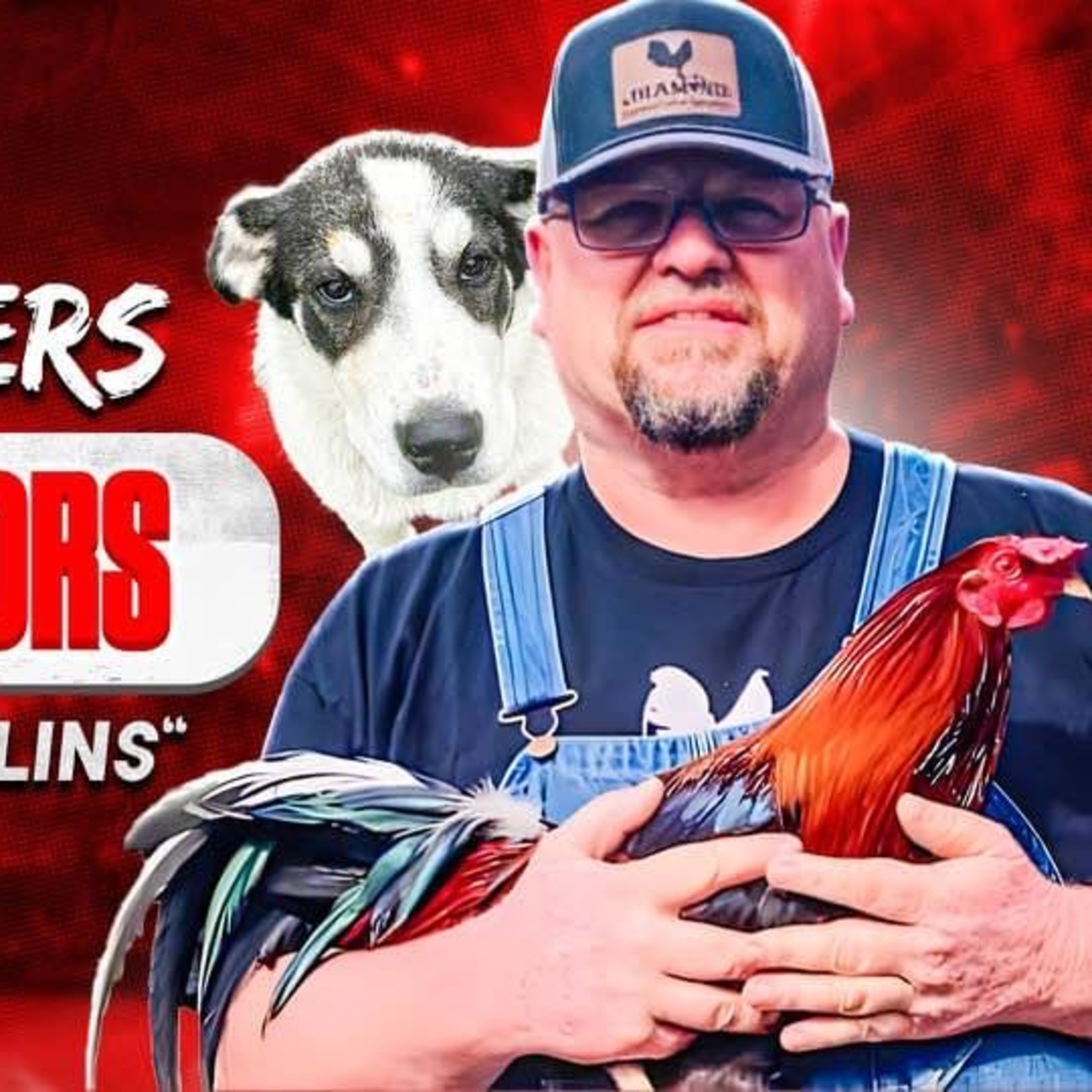 Best Livestock dogs