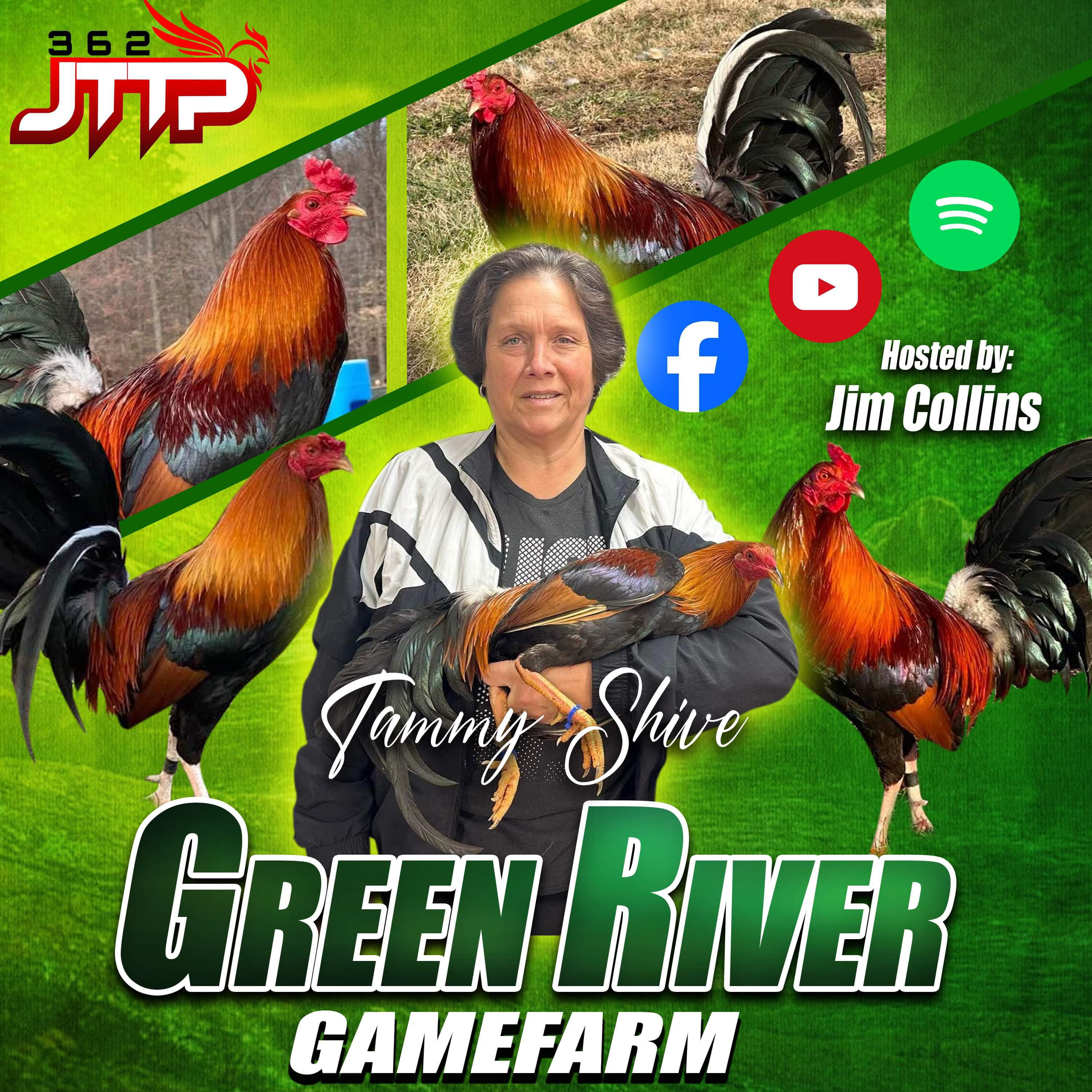 Tammy Shive