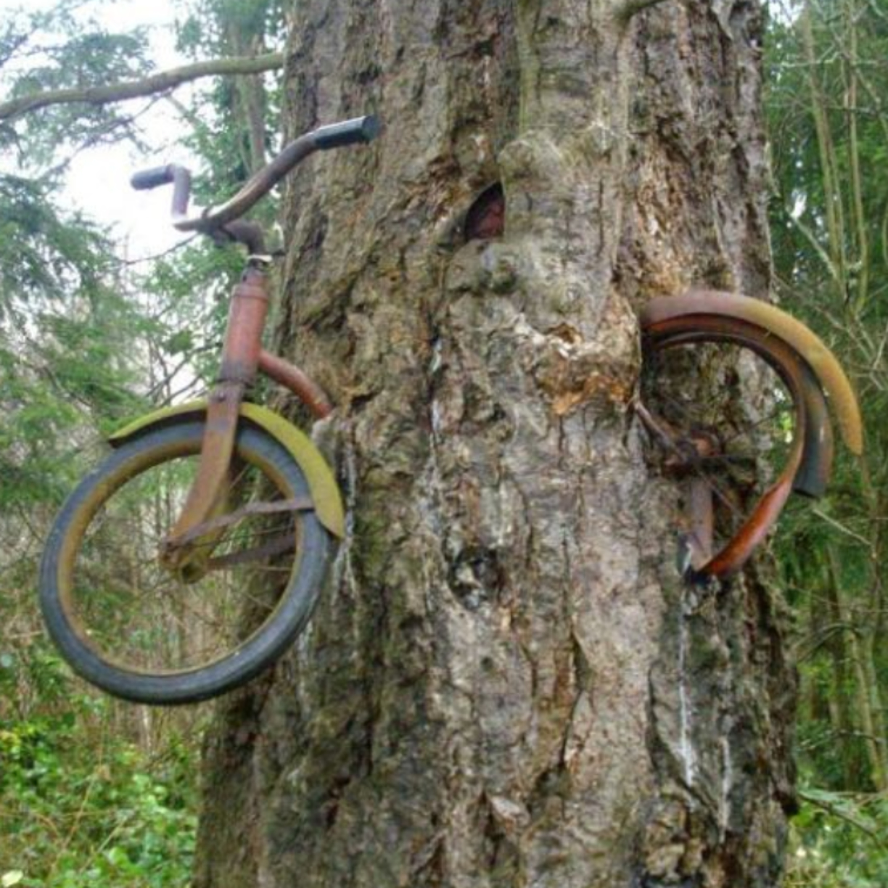 That Upper Left Life