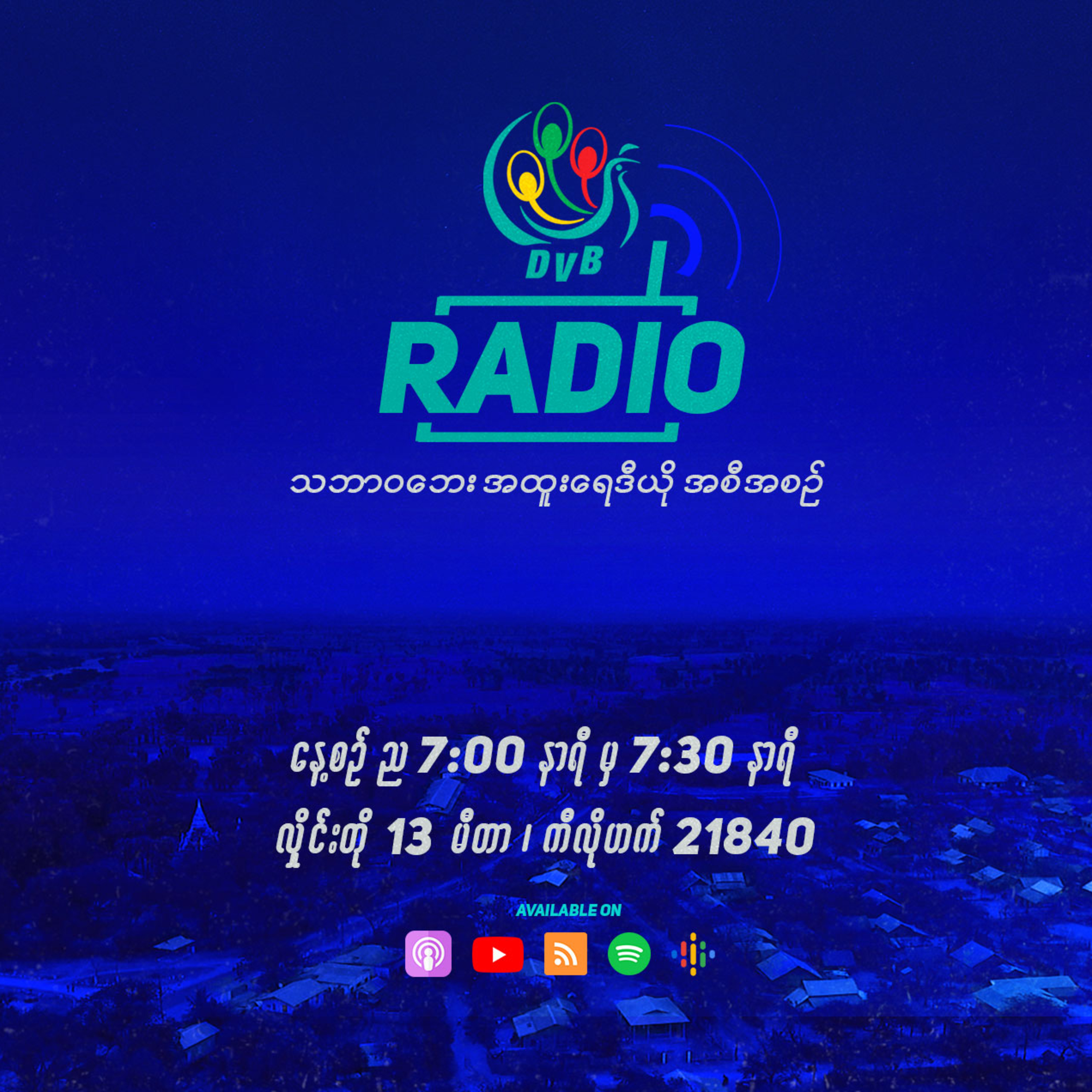 DVB News