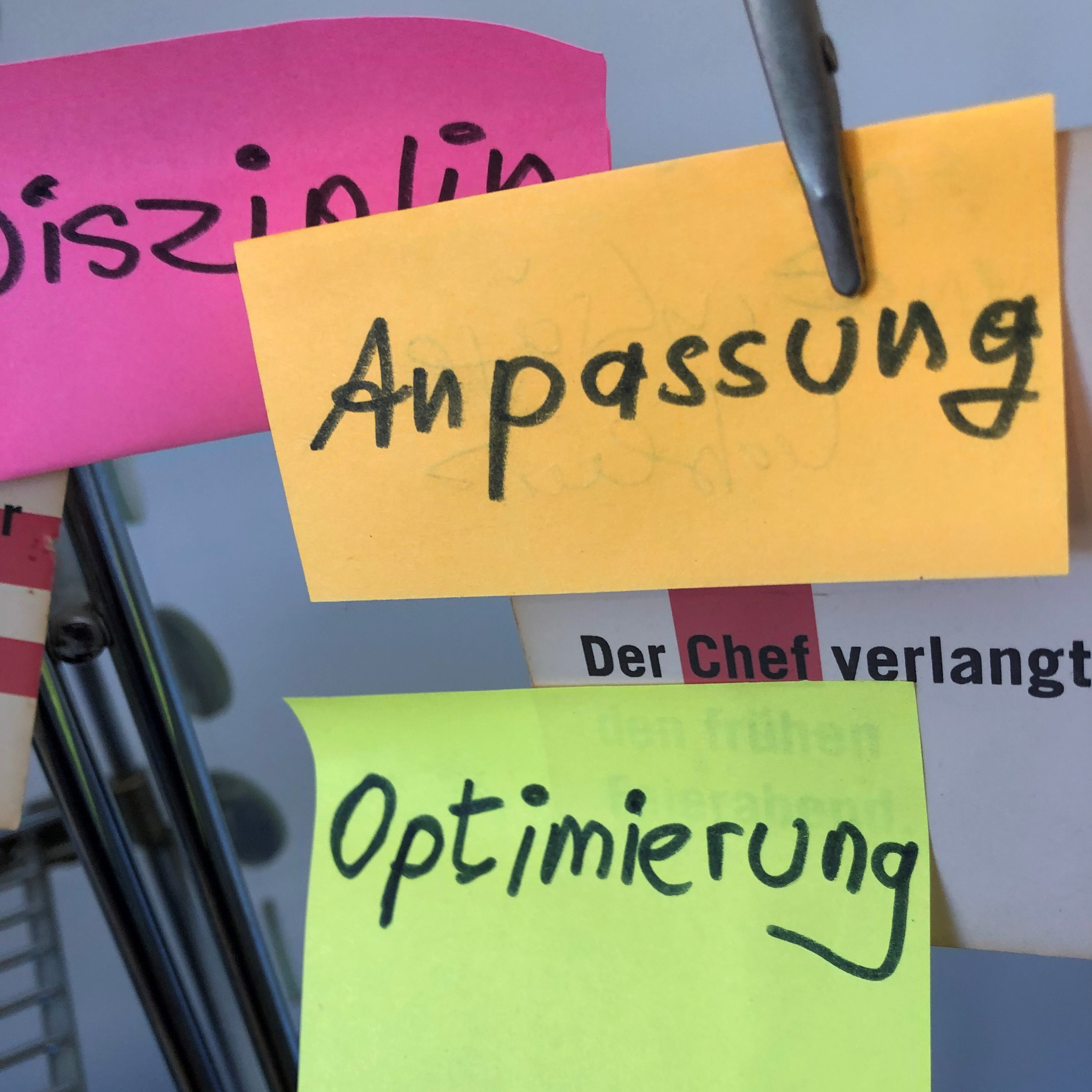 Hör mal Deutschland. Feature - Reportage