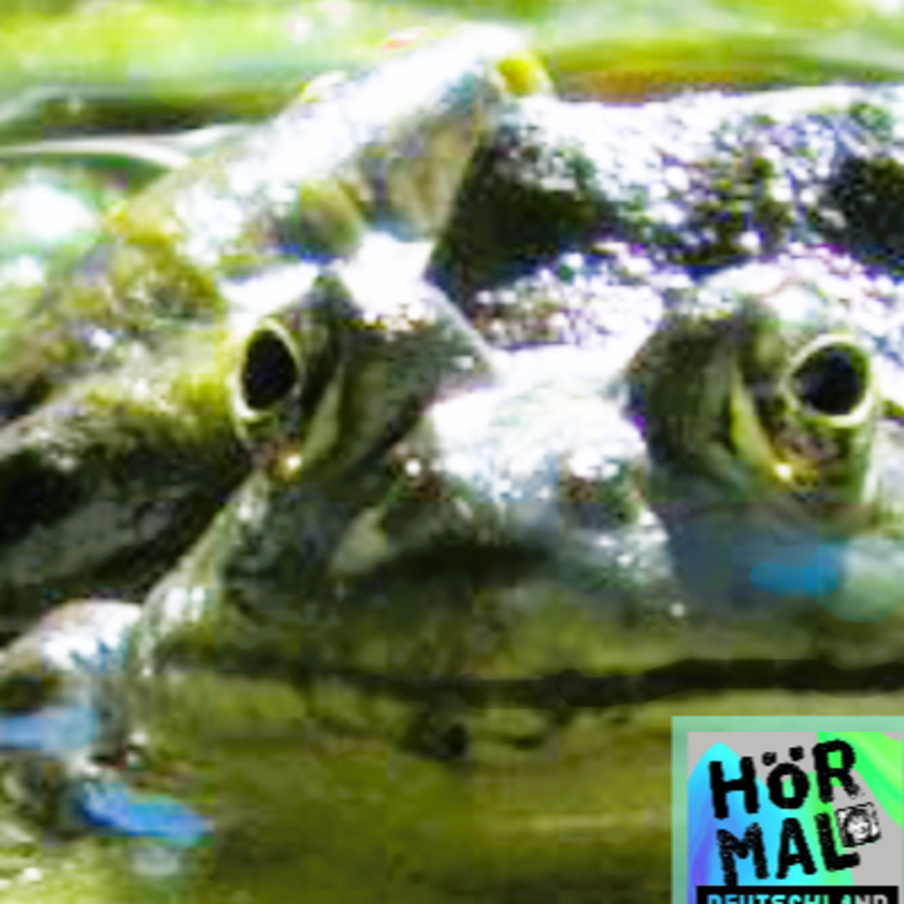 Wenn es dunkel wird, dann kommt der Ochsenfrosch Oder: Wie Tiere aus aller Welt die deutsche Staatsgrenze überschreiten episode artwork