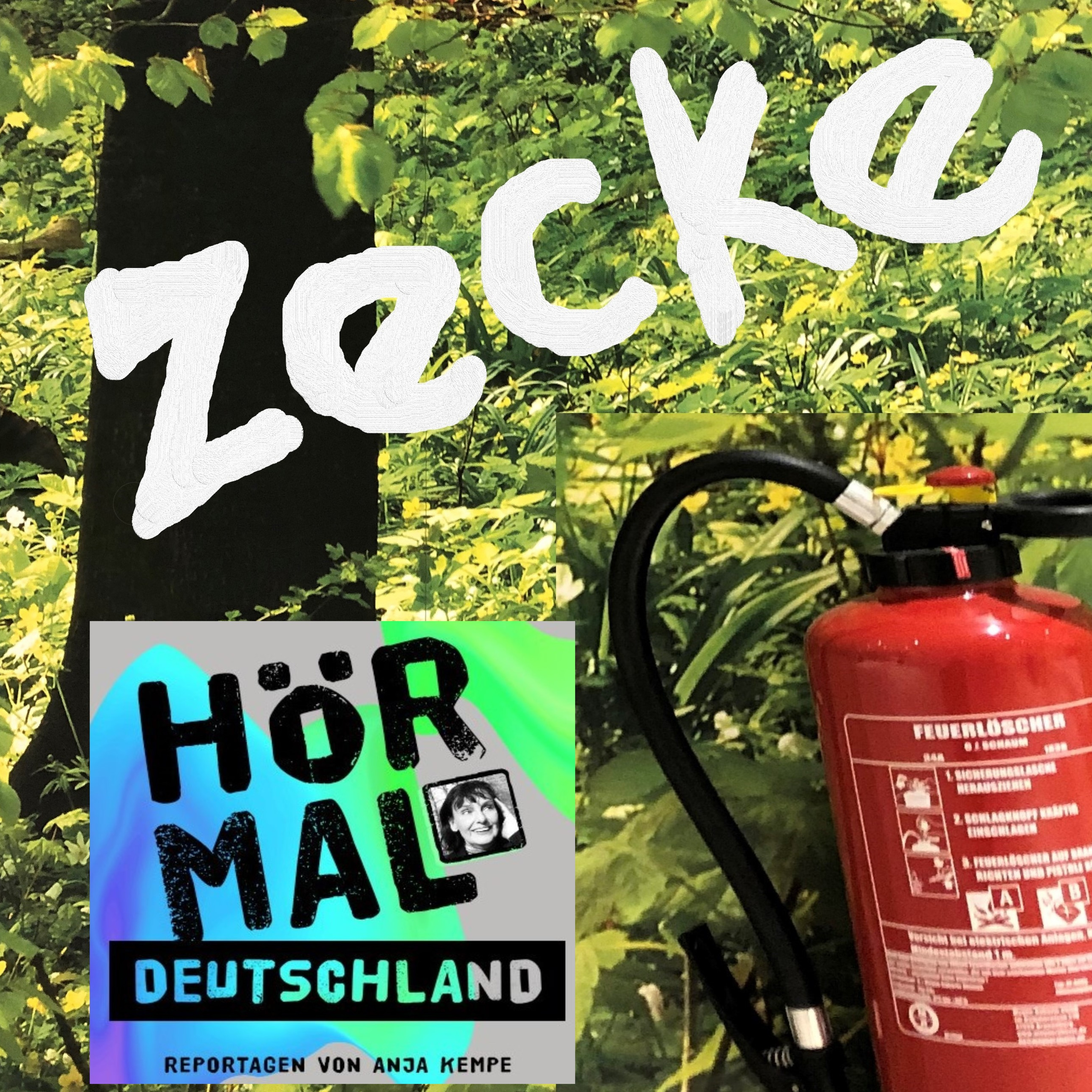 Hör mal Deutschland. Feature - Reportage