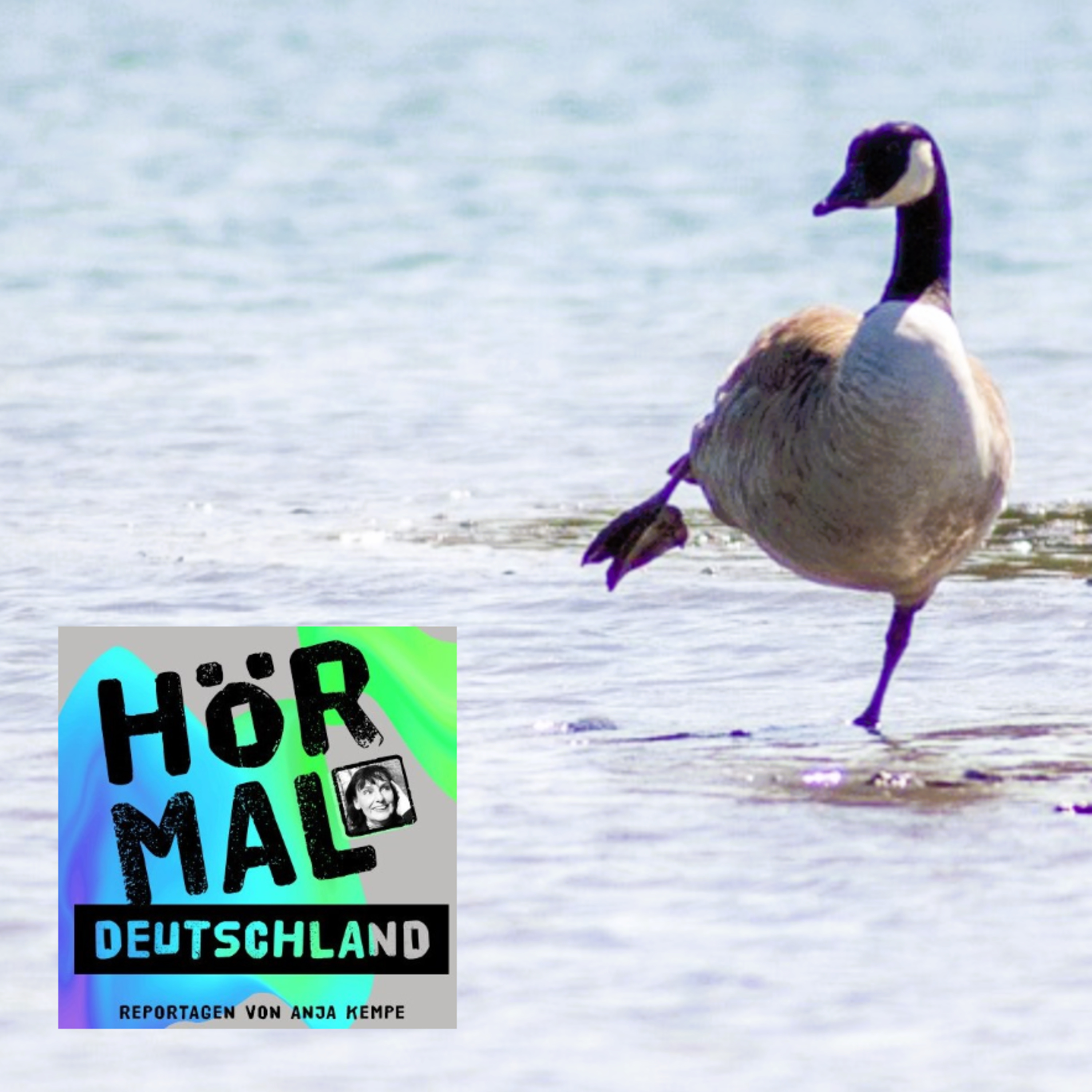 Hör mal Deutschland. Feature - Reportage