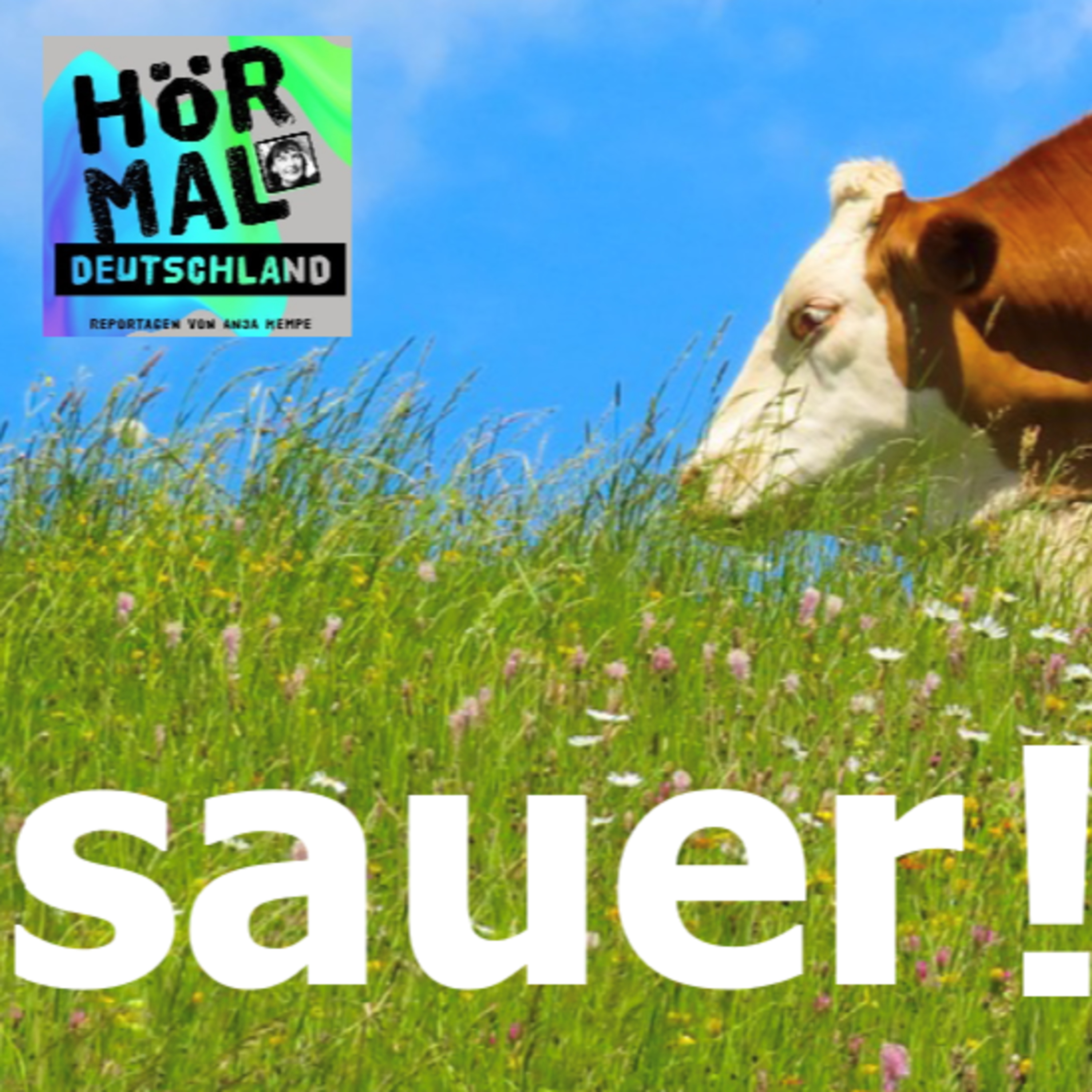 Hör mal Deutschland. Feature - Reportage