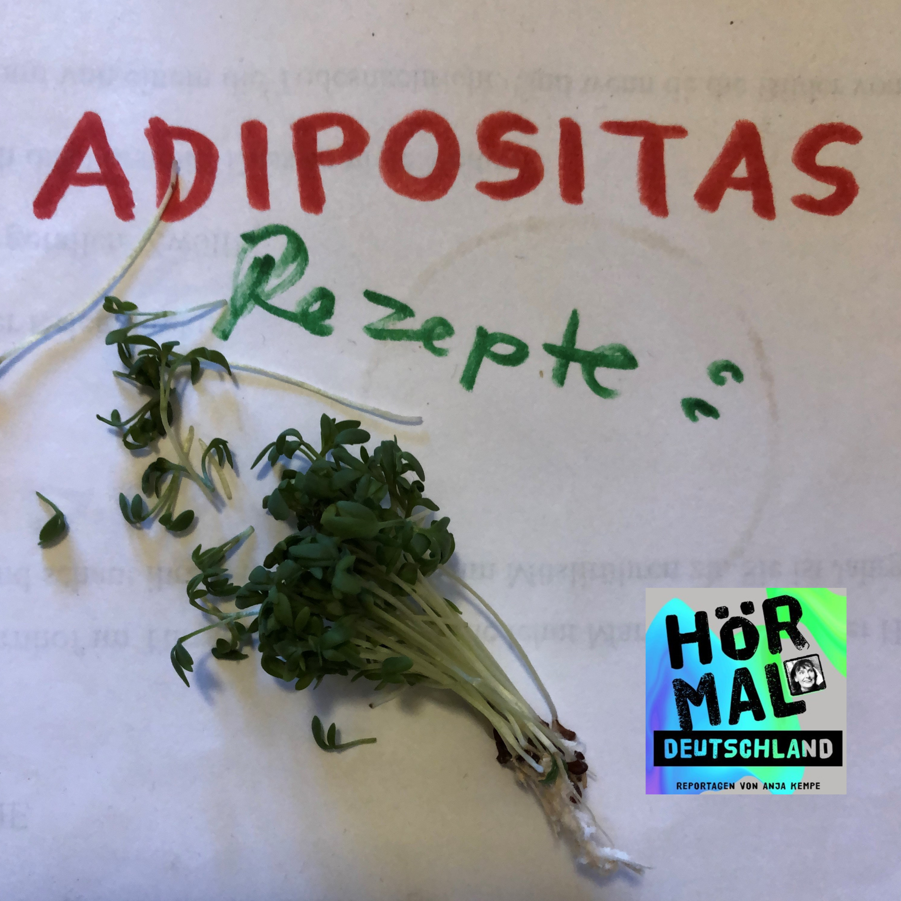 Der mühsame Alltag mit Adipositas episode artwork