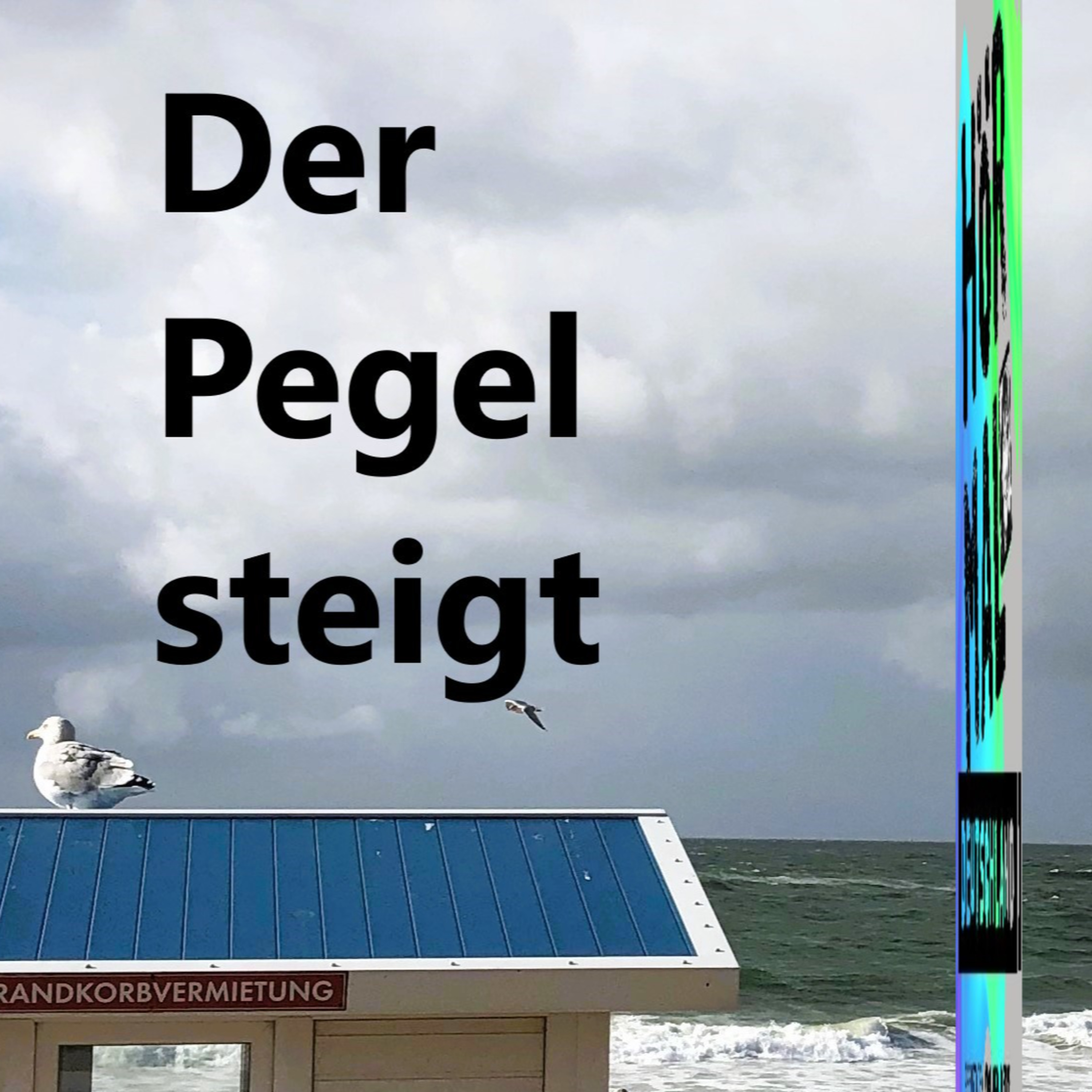 BONUS Sylt - Klimagau ganz nah ? episode artwork