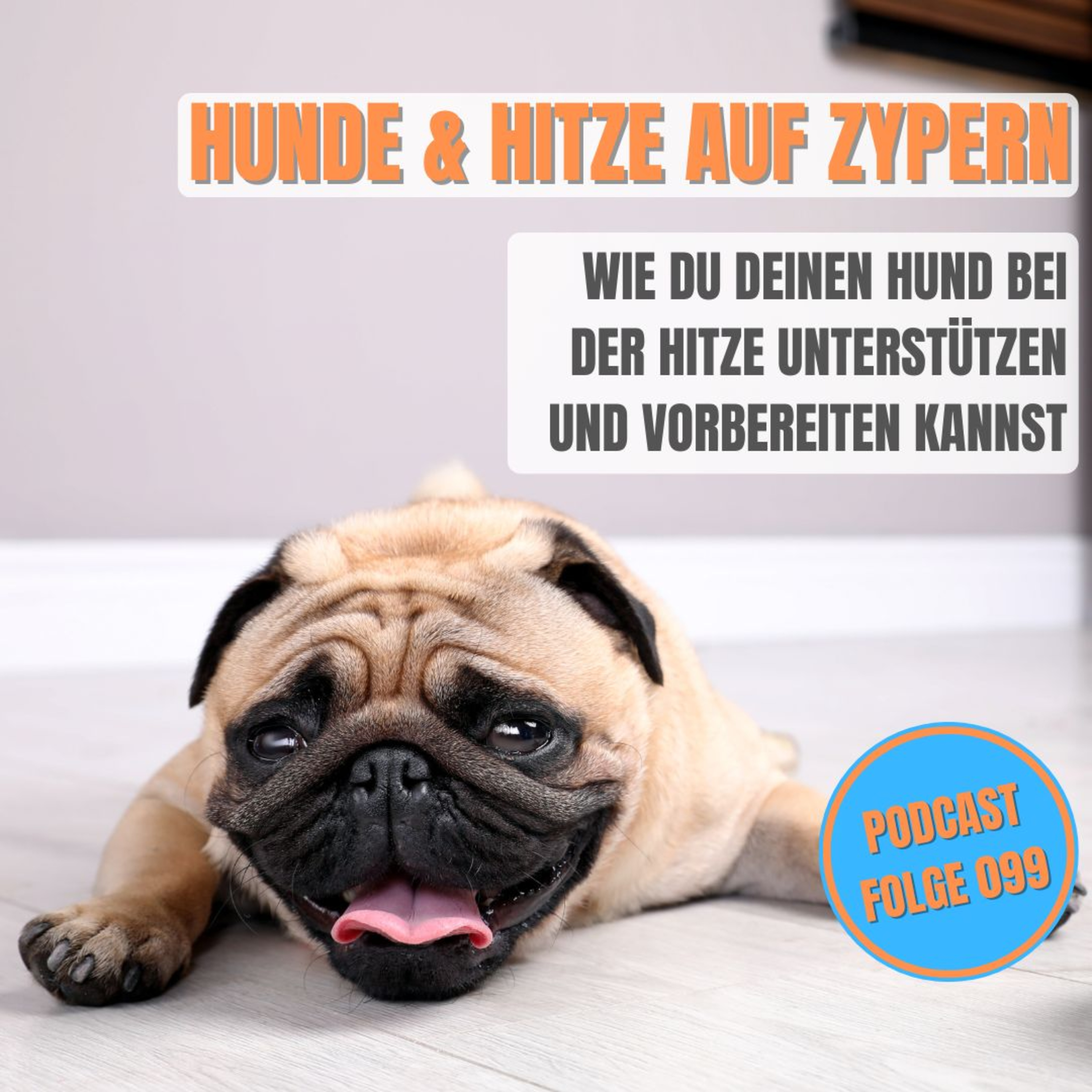 Auswandern nach Zypern - Mit der Familie ab auf die Insel
