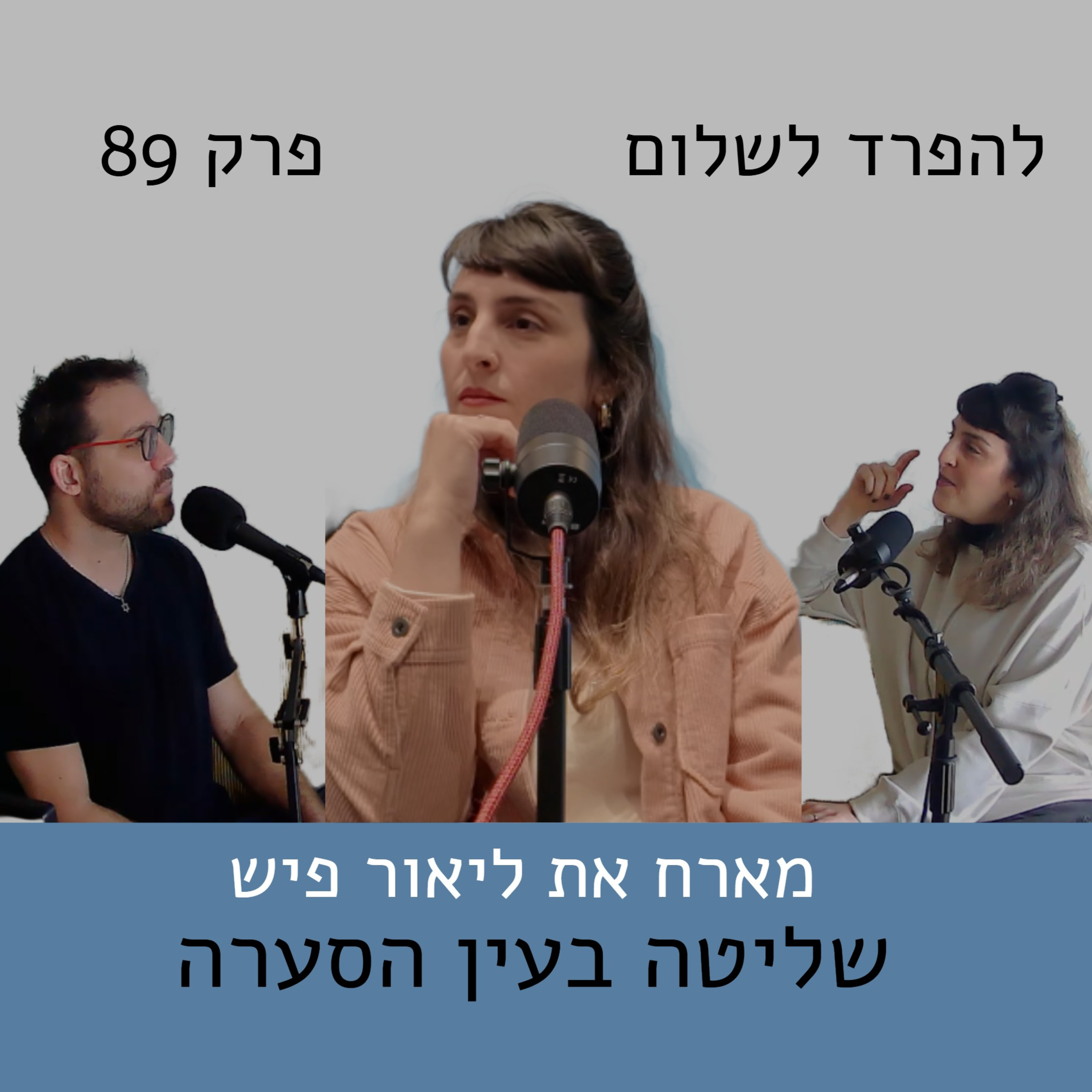 פרק 89 | ליאור פיש ויזגאן על שליטה בעין הסערה episode artwork