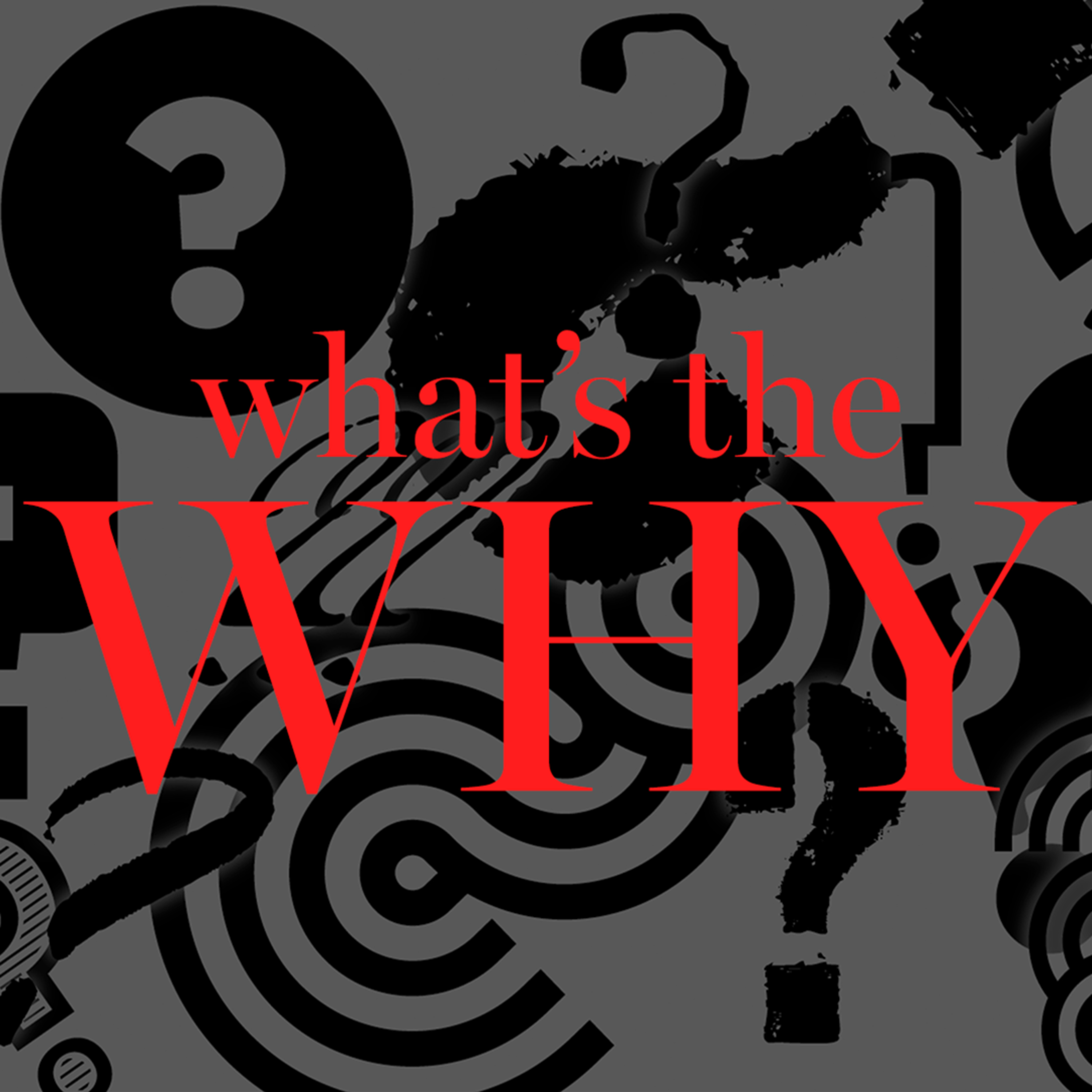 The Lit Aura | WHAT'S THE WHY episode artwork