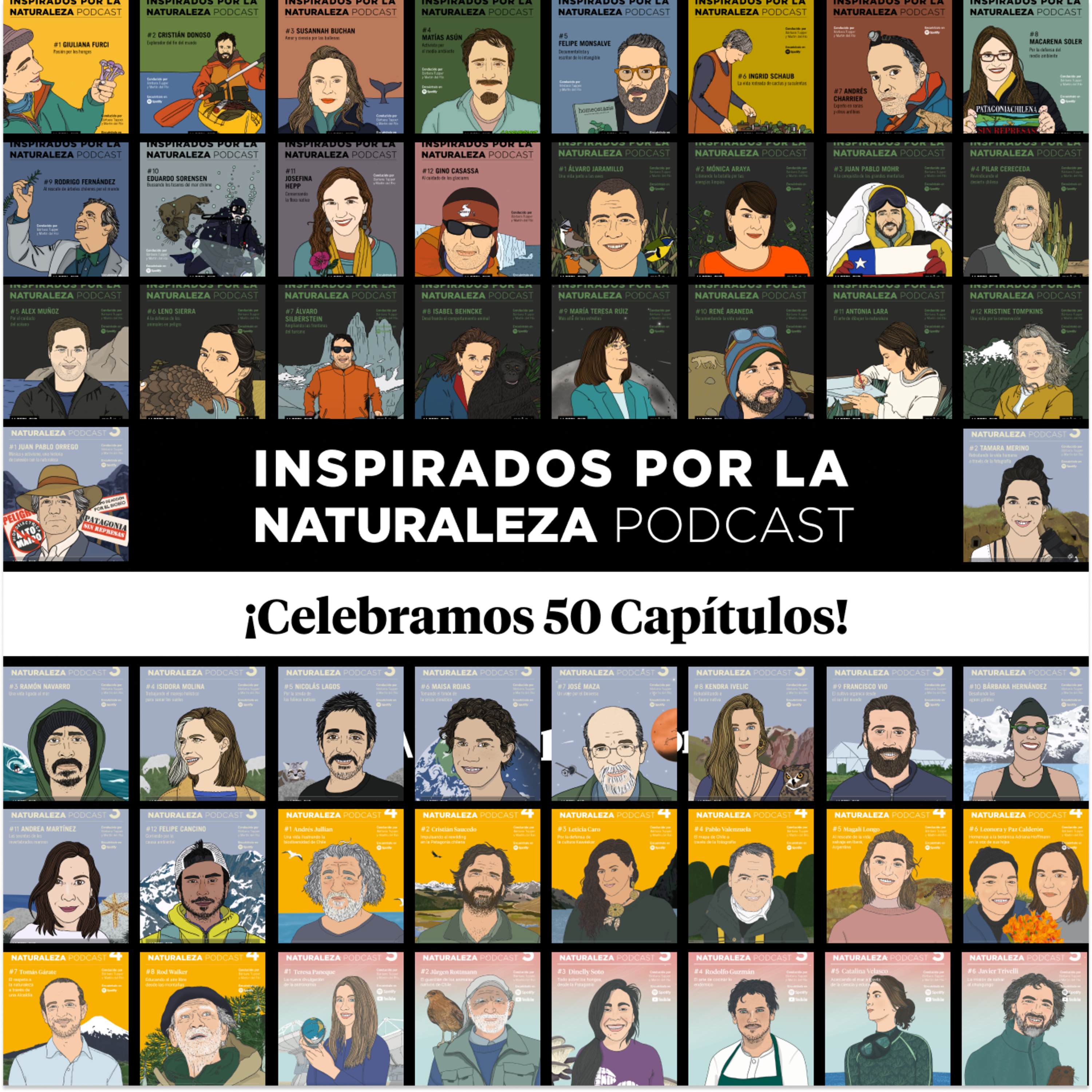 Capítulo especial - 50 episodios