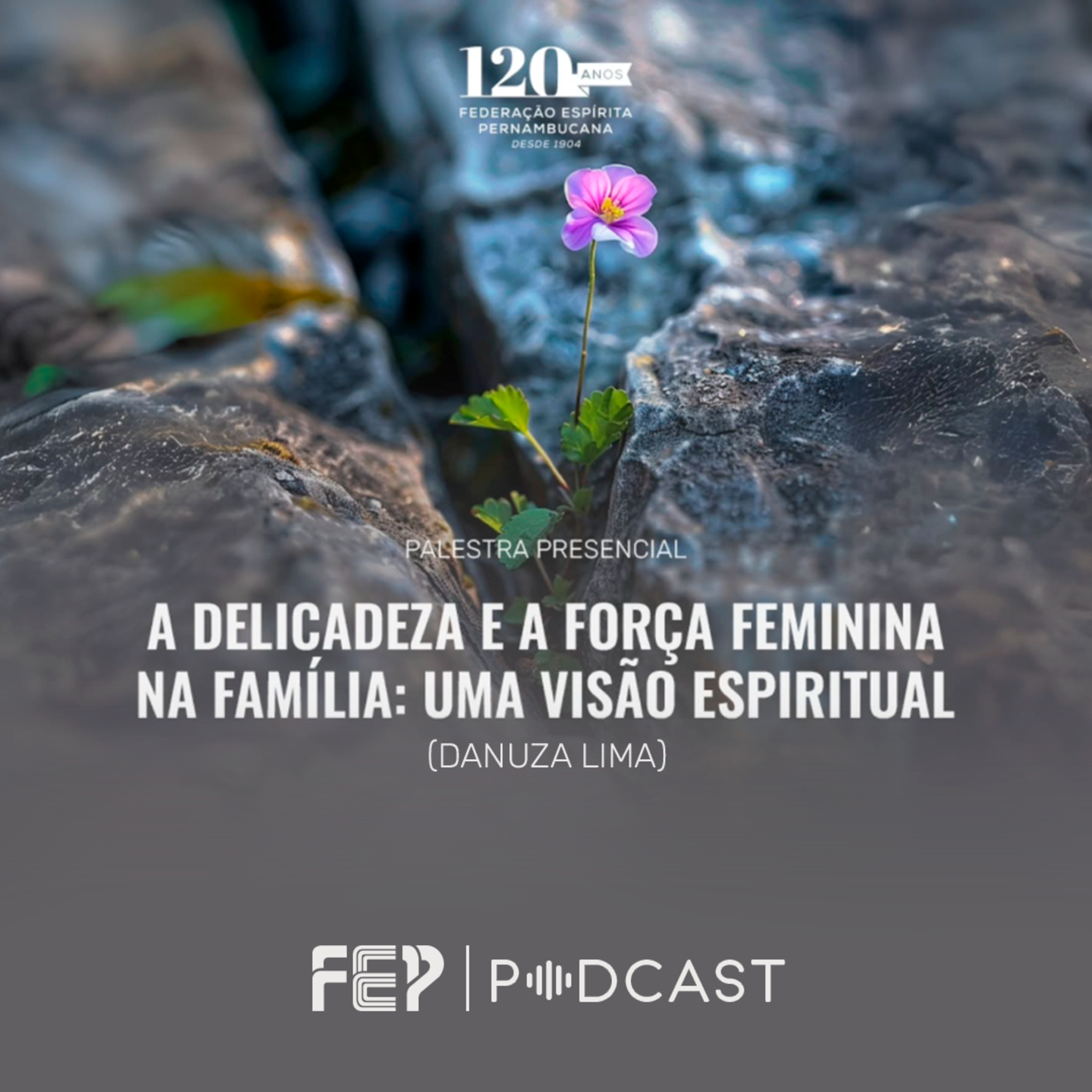 A delicadeza e a força feminina na família - Danuza Lima episode artwork