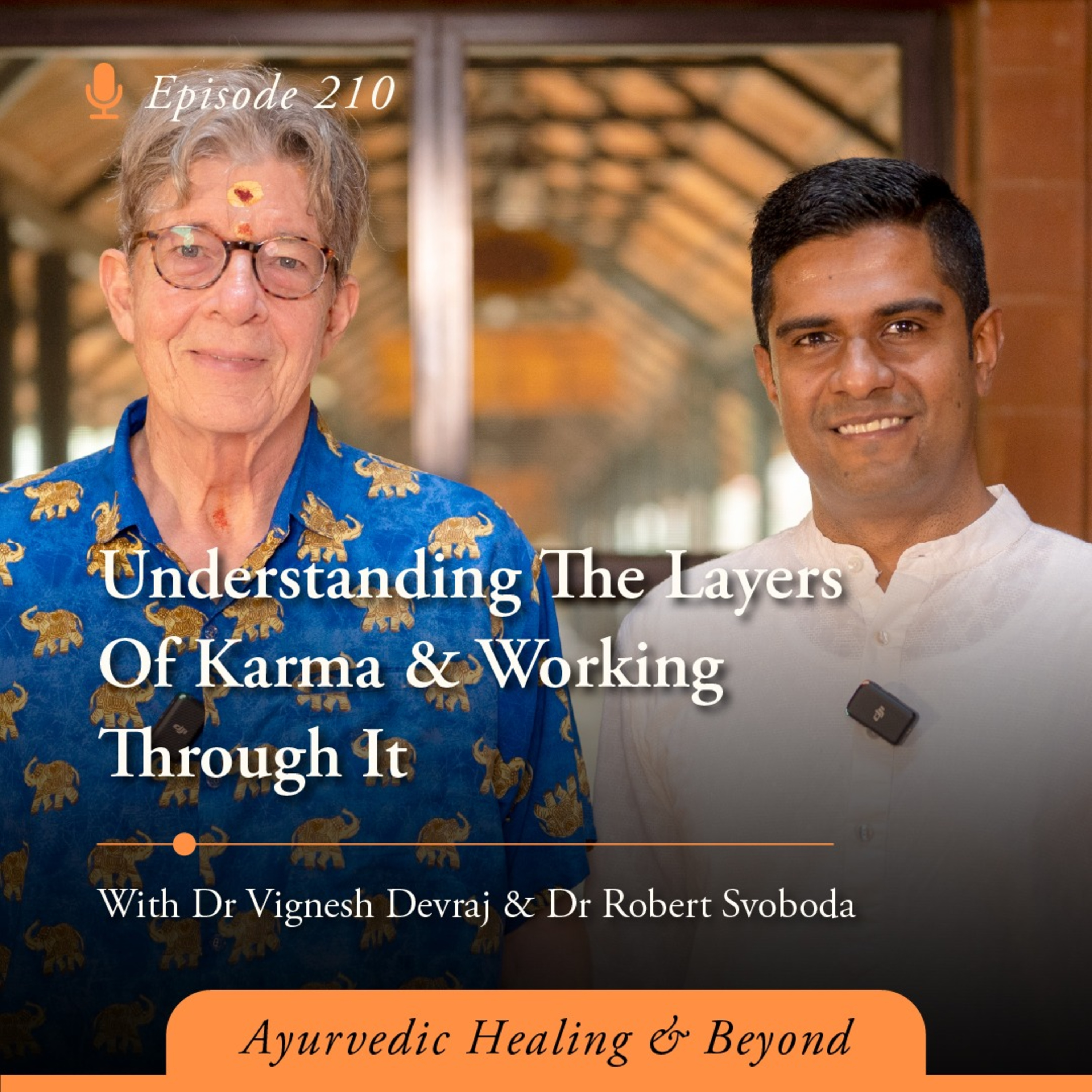 #210 Understanding The Layers Of Karma & Working Through It  | With Dr Vignesh Devraj & Dr Robert Svoboda episode artwork