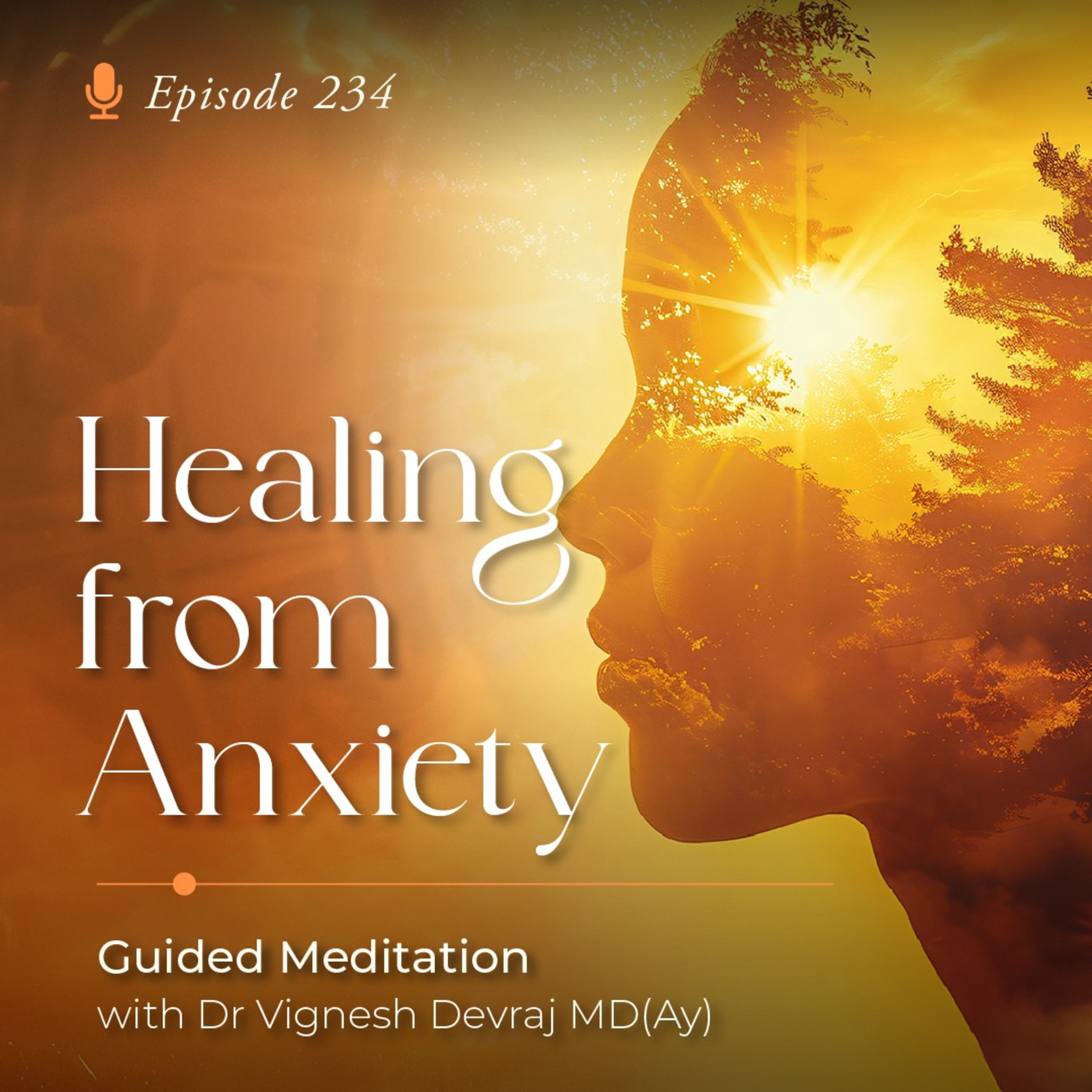 #234 Healing from Anxiety: Guided Meditation with Dr Vignesh Devraj MD (Ay) episode artwork