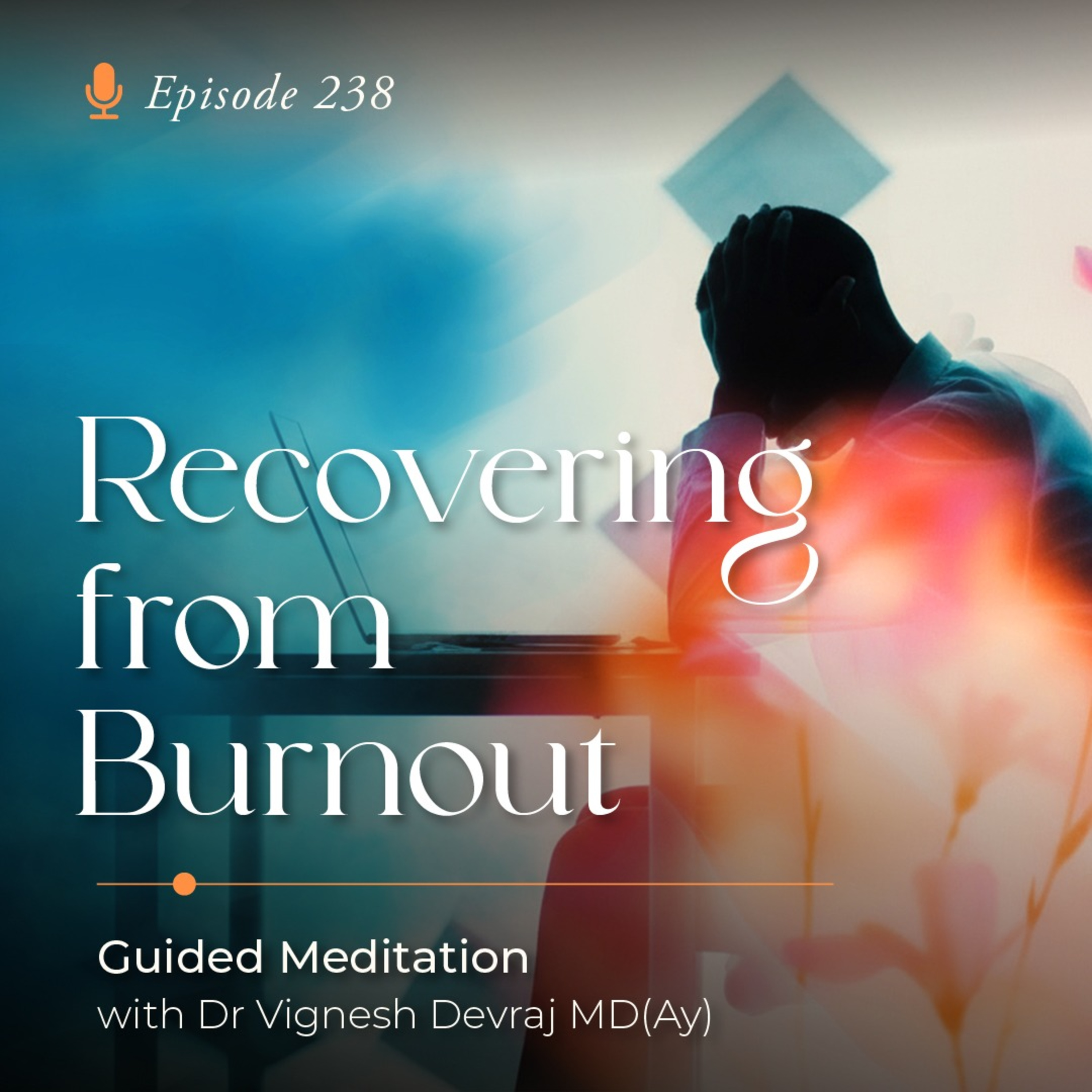 #238 Recovering from Burnout: Guided Meditation with Dr Vignesh Devraj MD (Ay) episode artwork