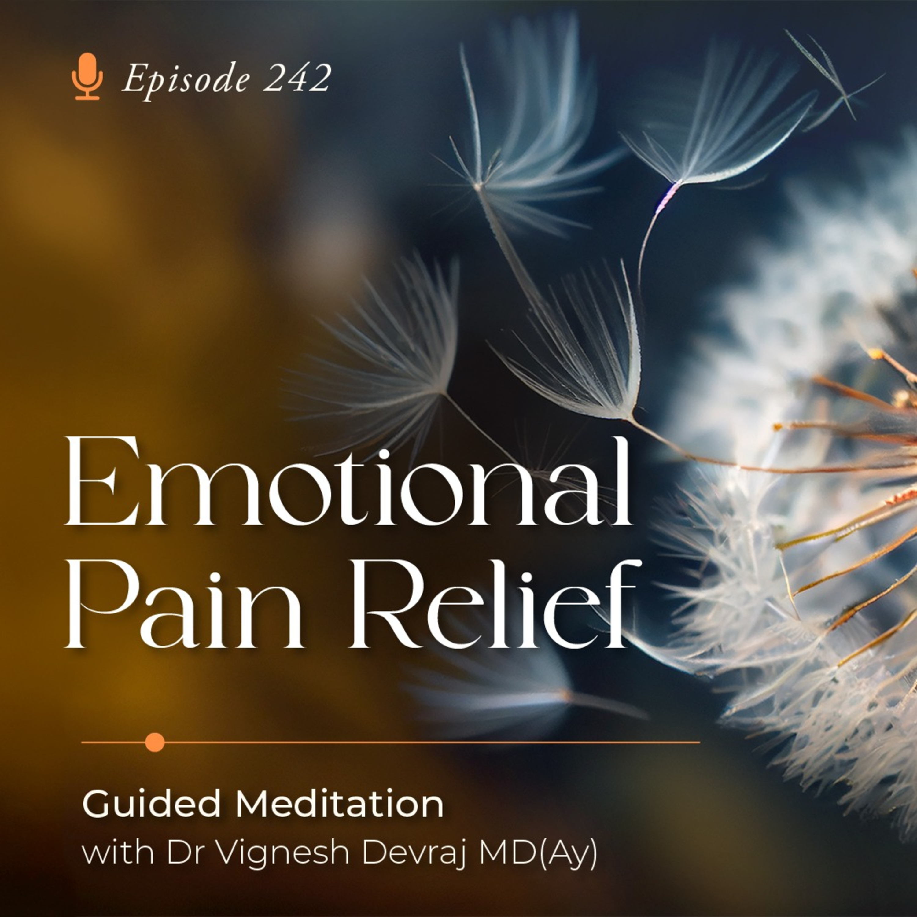 #242 Emotional Pain Relief: Guided Meditation with Dr Vignesh Devraj MD (Ay) episode artwork